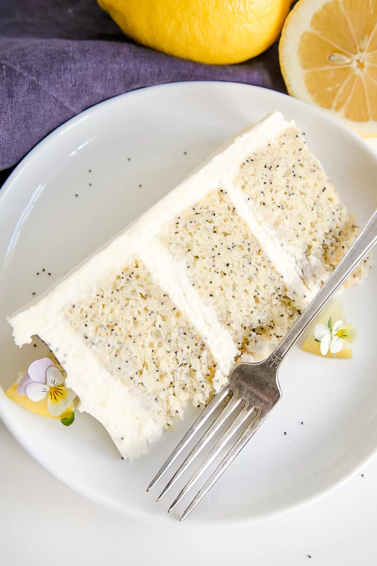 Slice of cake on a plate.