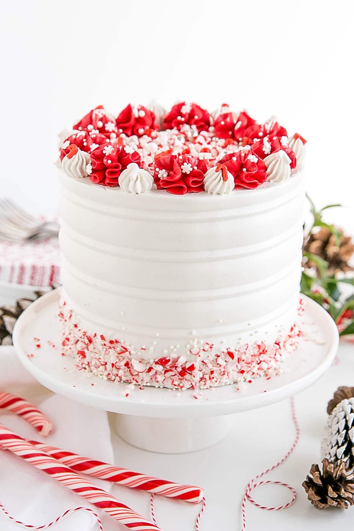 Angled shot of the cake with candy canes and pine cones as props.