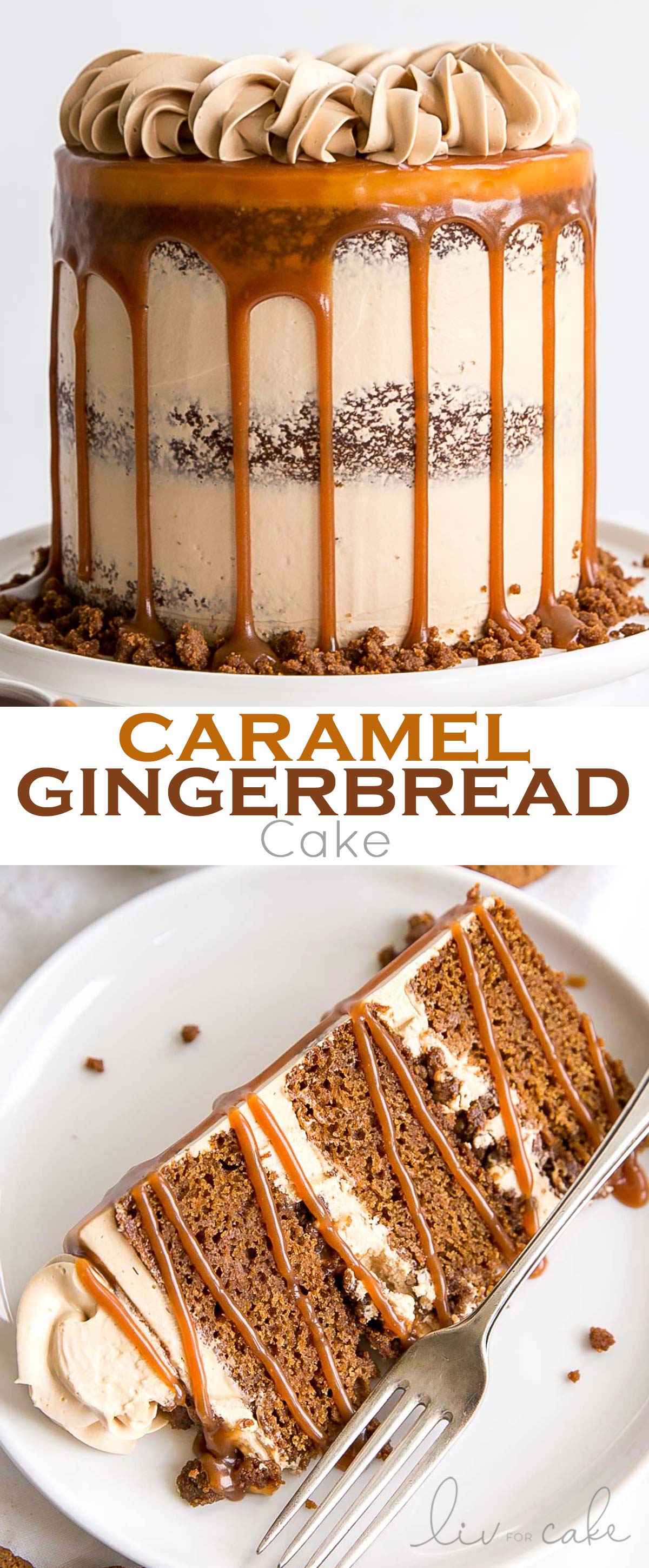 Gingerbread cake photo collage.