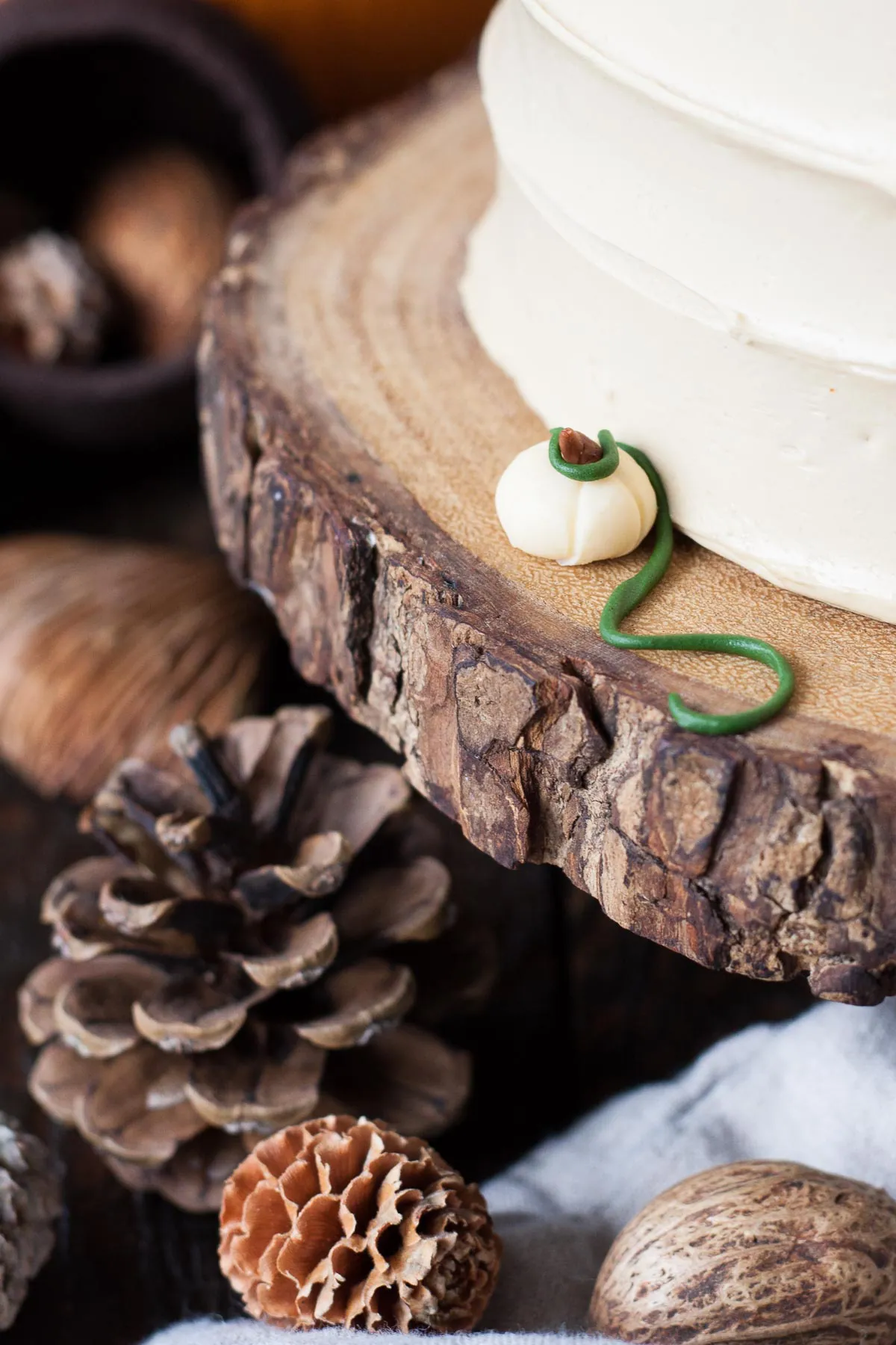 Close up shot of a small fondant pumpkin with vine.