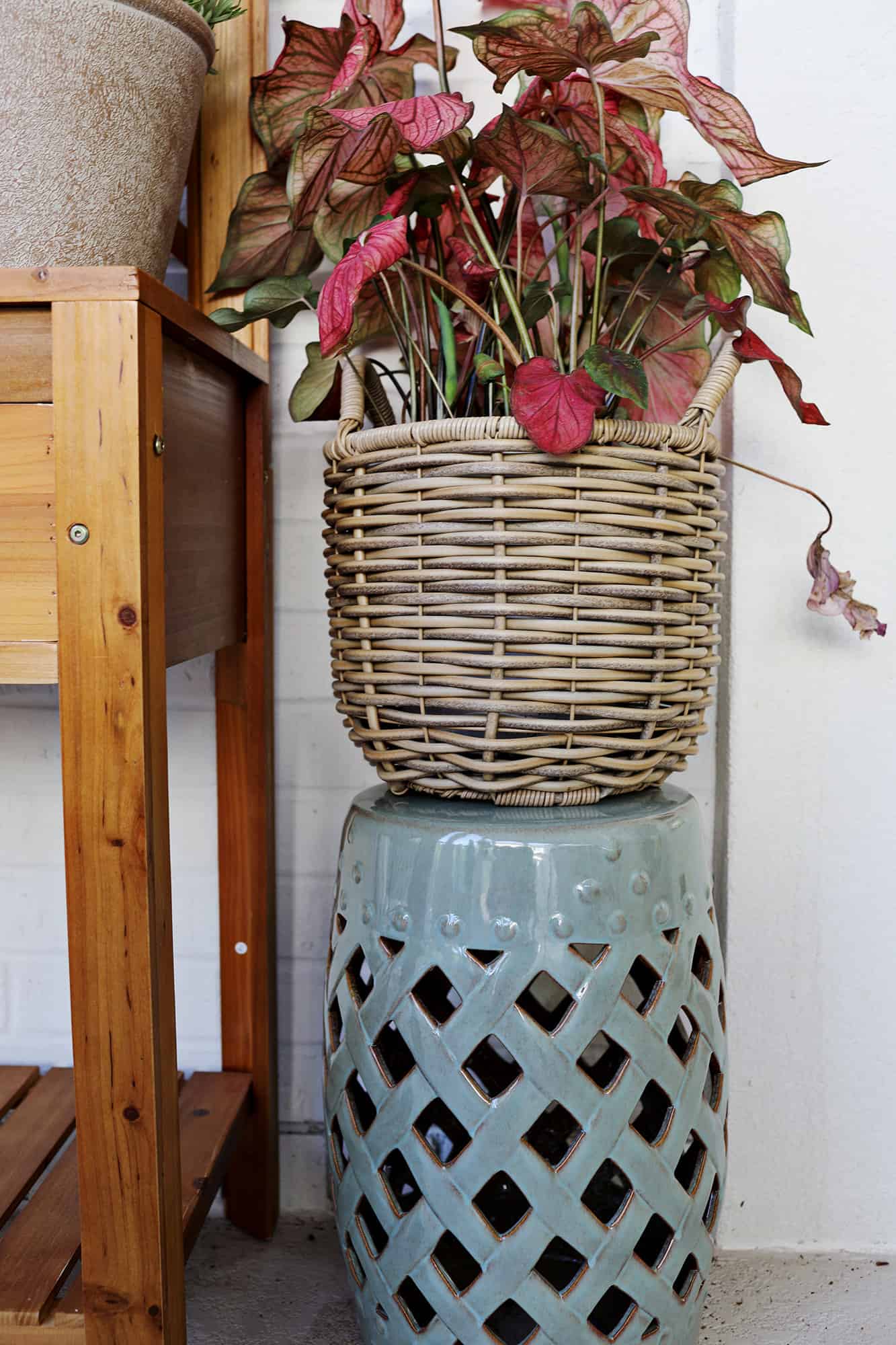 plant sitting on top of a stool by a potting station.