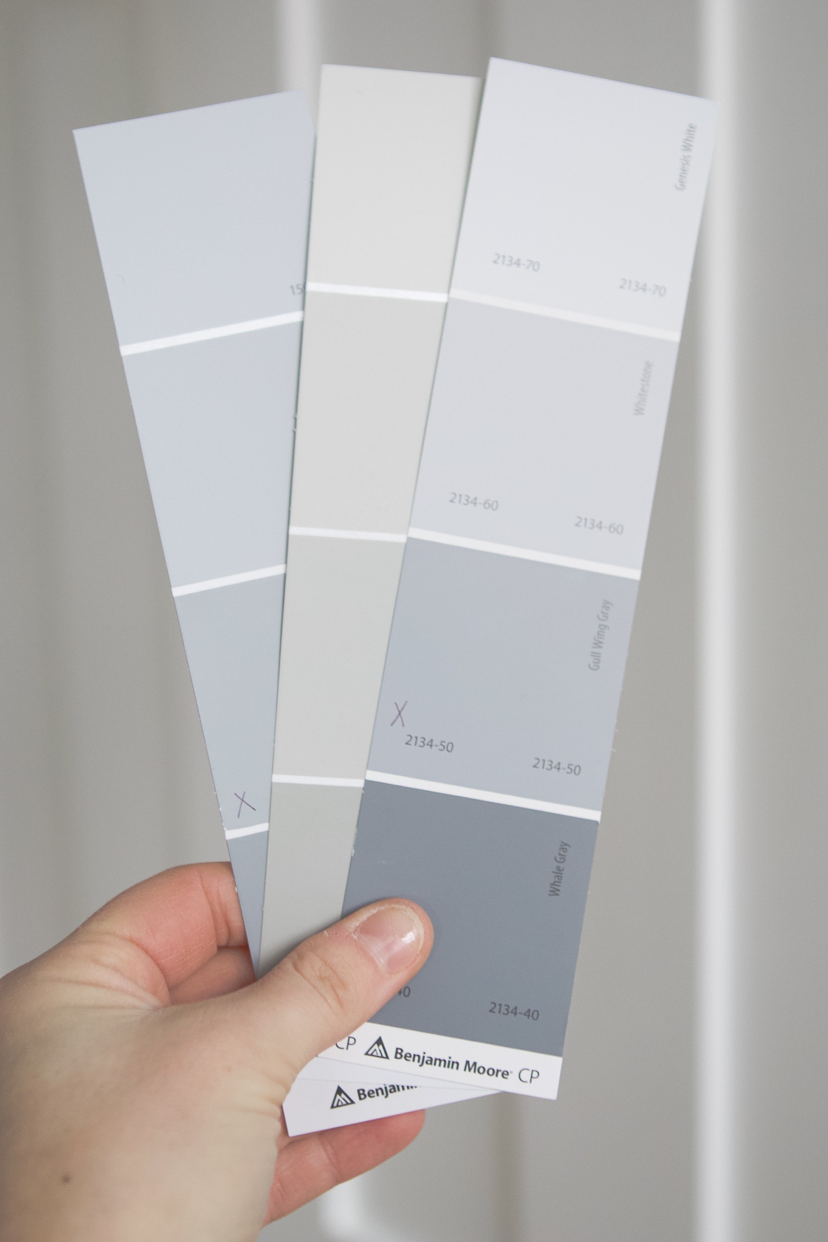 Choosing paint samples