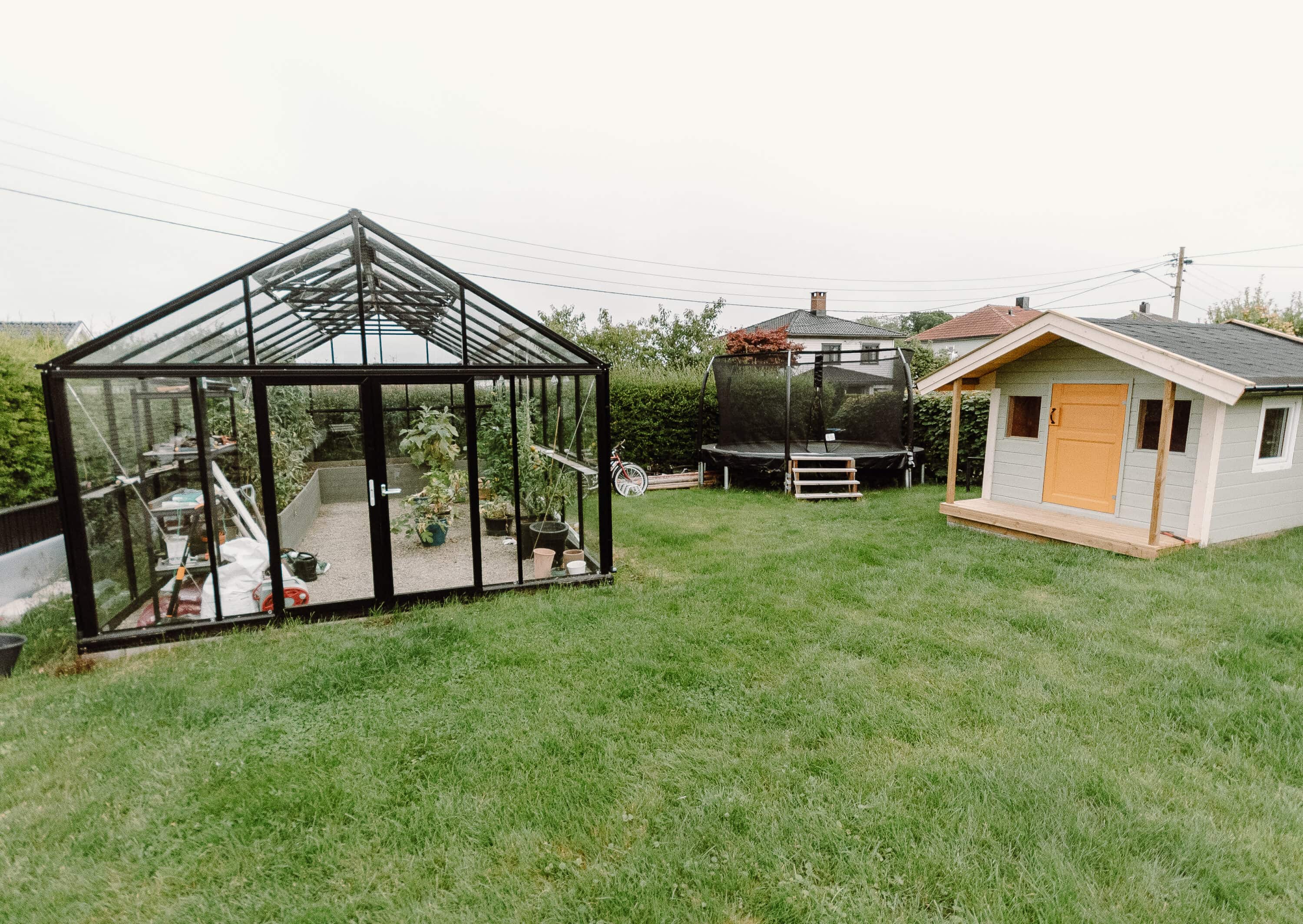 Greenhouse in the backyard 