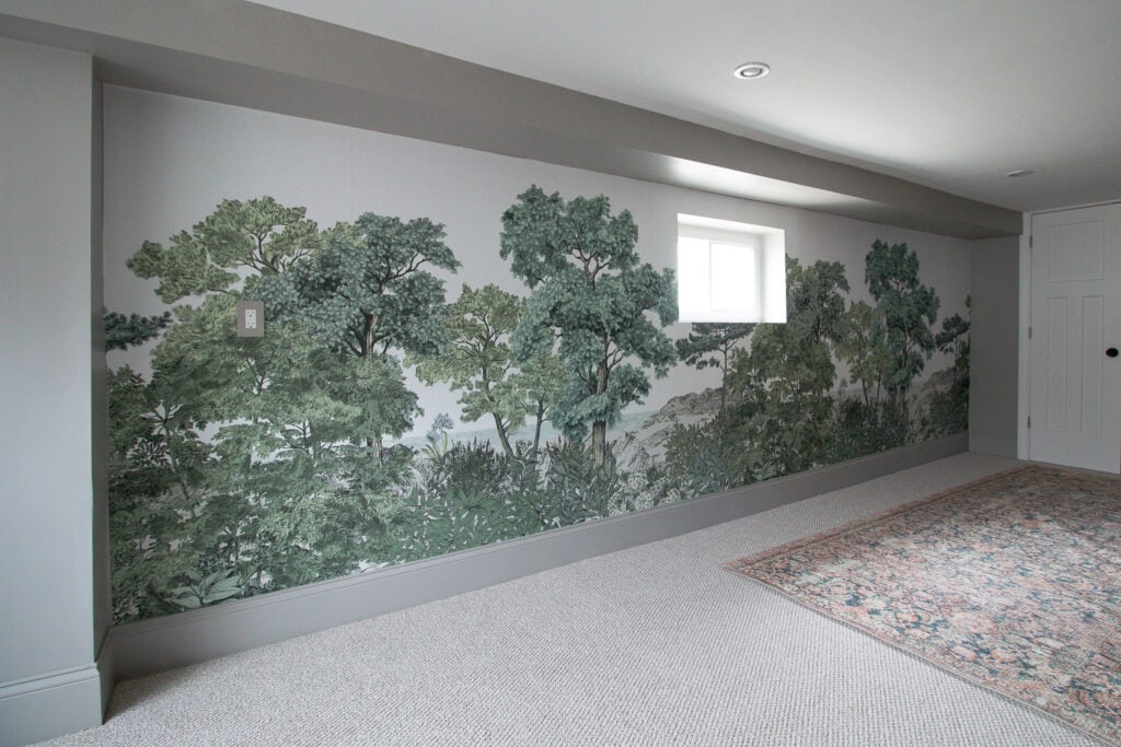 Panoramic wallpaper in our basement