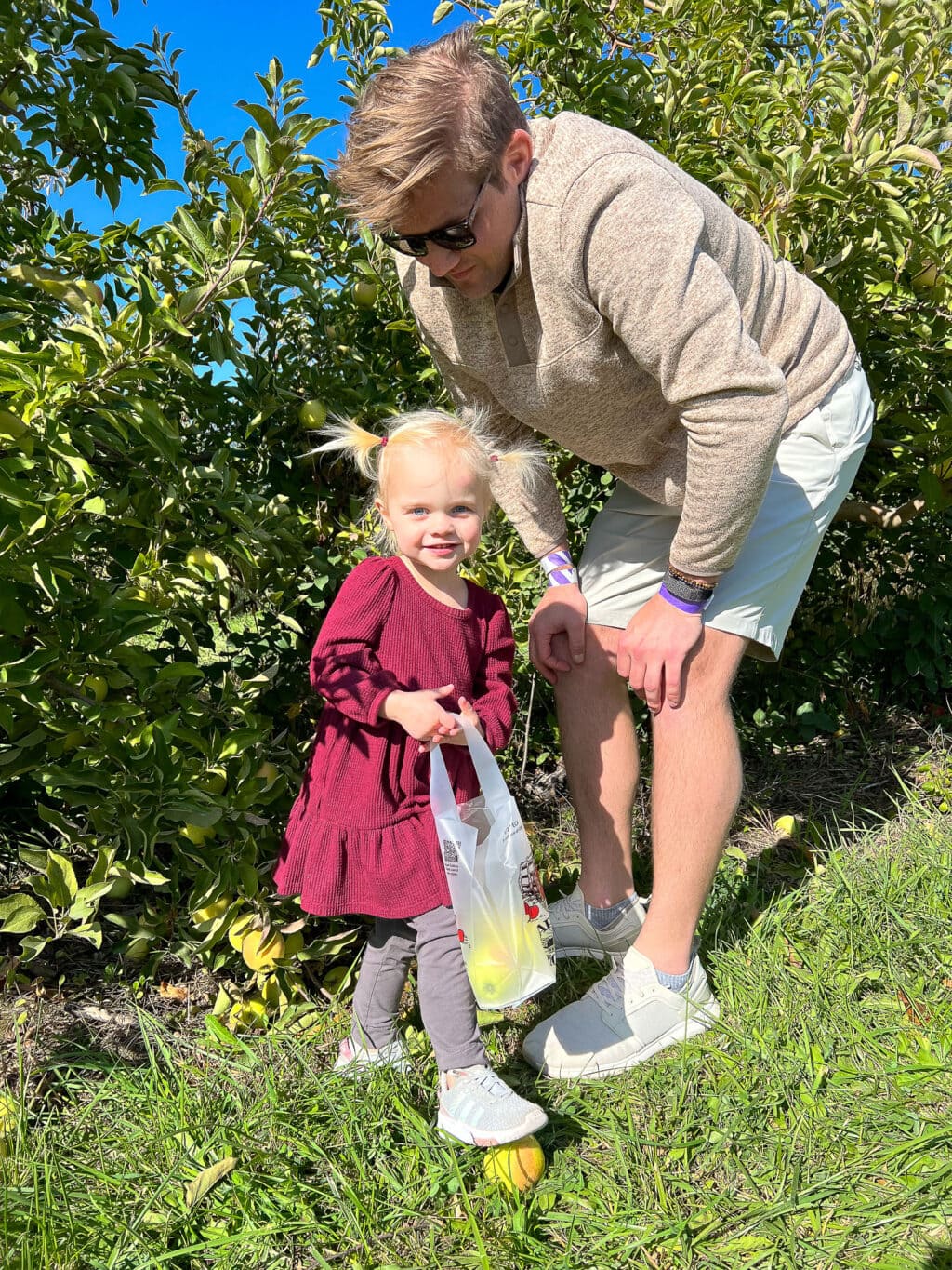 Rory apple picking