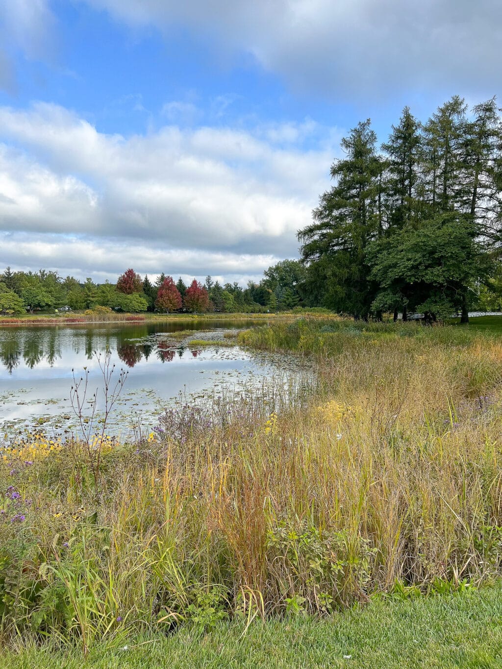 The morton arboretum