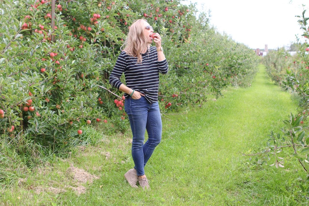 eating an apple in the apple orchard
