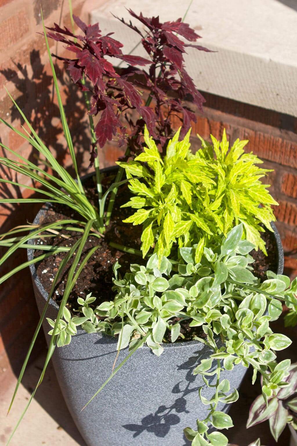 My new fall planters for autumn