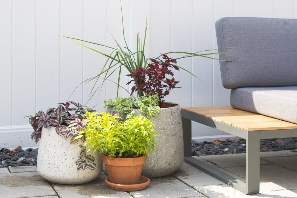 My fall planters in the backyard