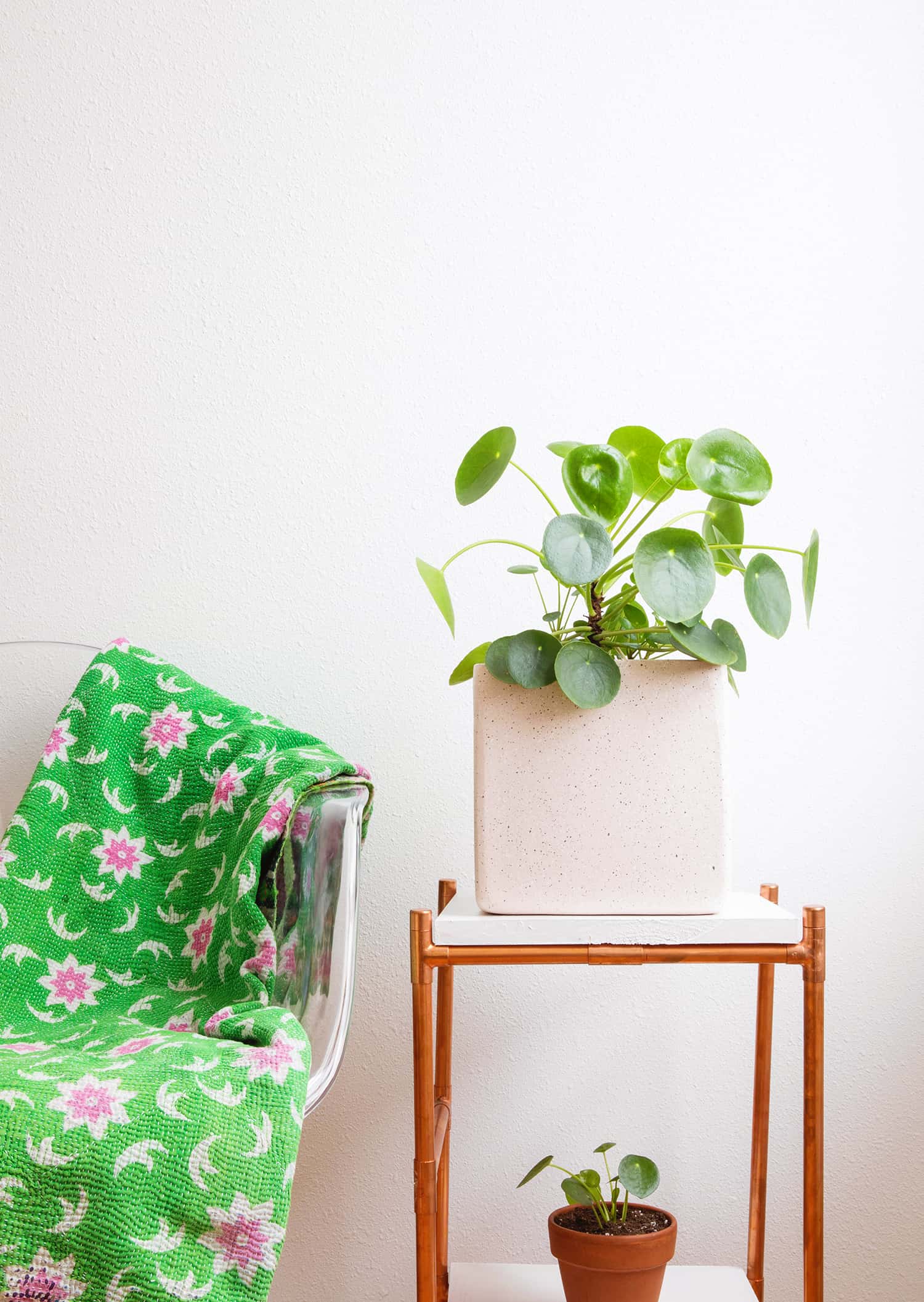 a clear chair with a green and pink blanket on it with a stand next to the chair and a plant on the top and bottom shelf