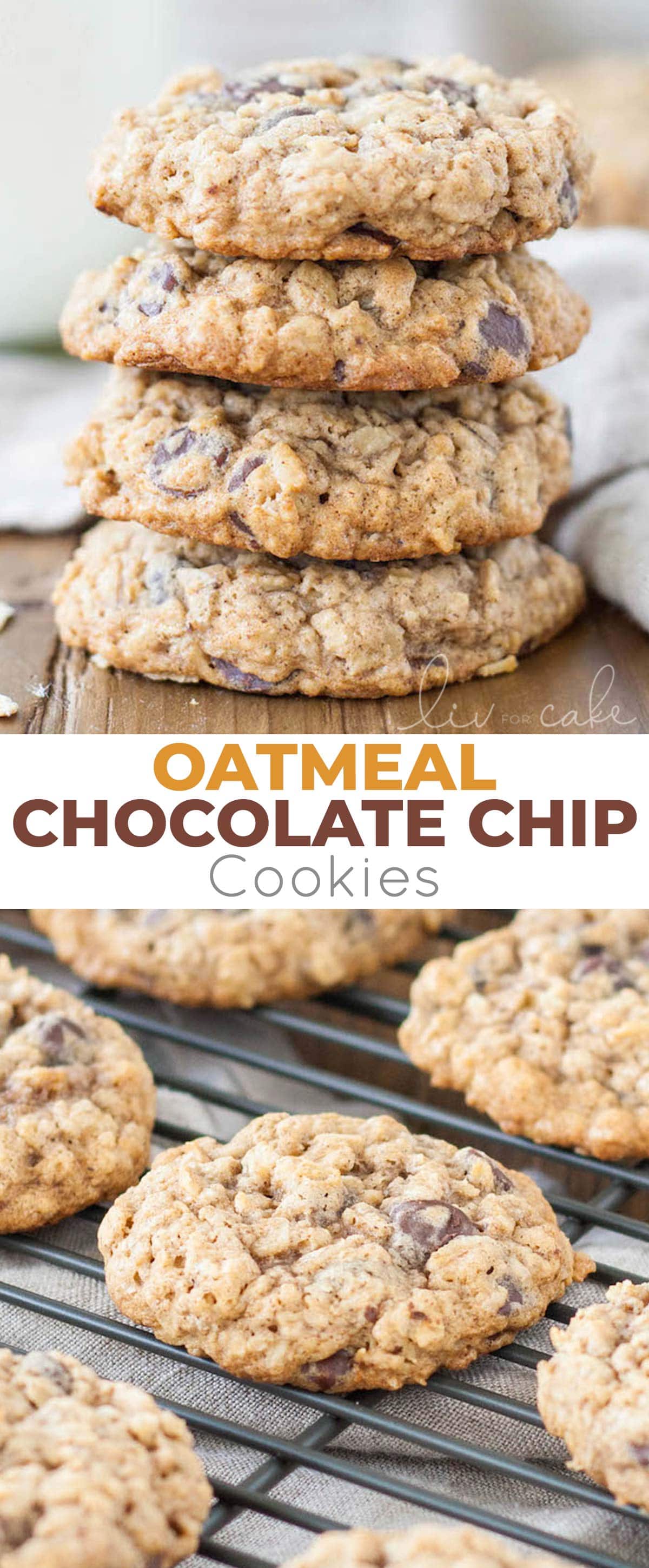 The only oatmeal cookie recipe you will ever need! Soft and chewy oatmeal chocolate chip cookies loaded with oats and chocolate chips! | livforcake.com