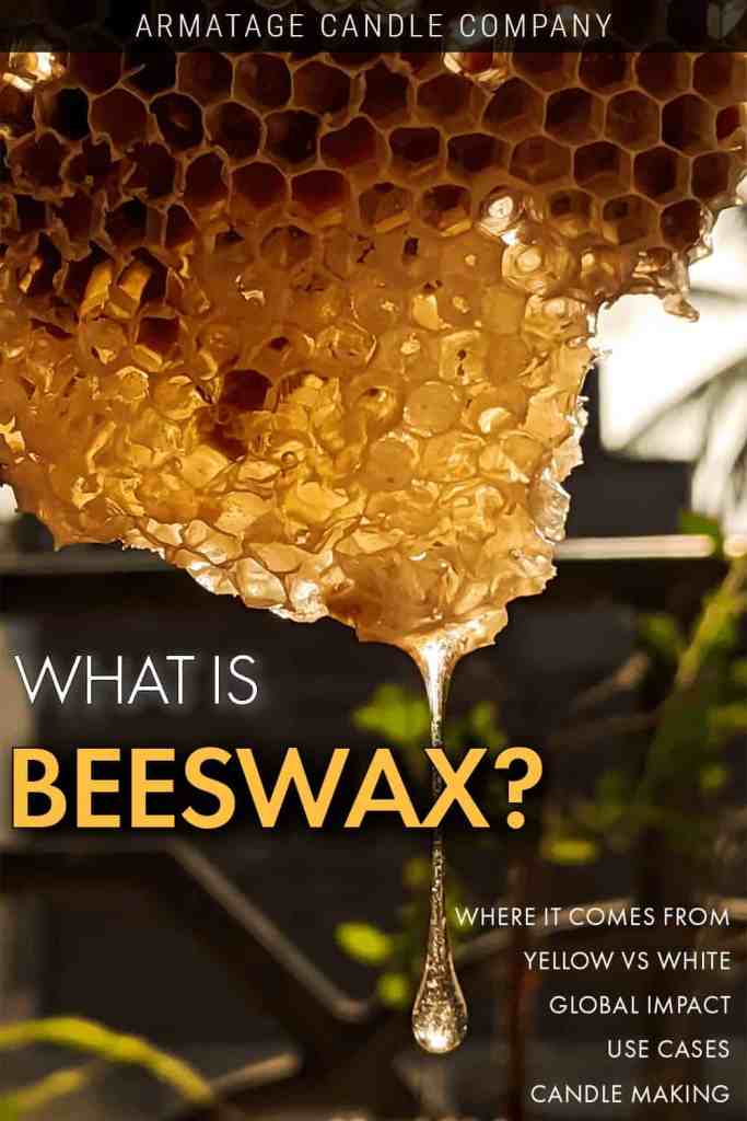 Beeswax is created and used by bees for building their homes and protecting their honey, but also has a lot of other uses worth knowing about.