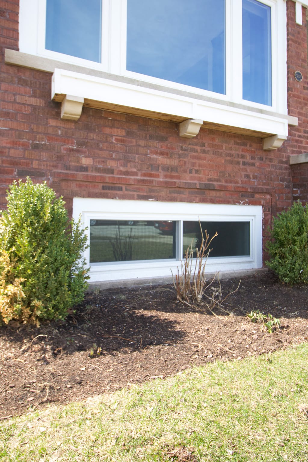 New basement windows