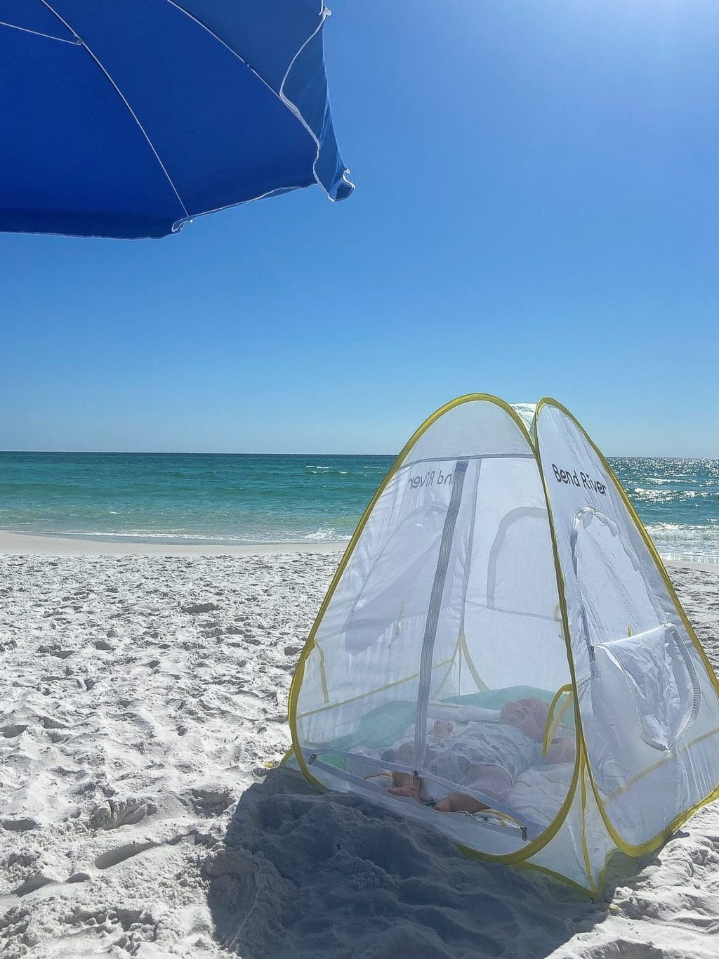 Ellis napping at the beach in Seaside Florida