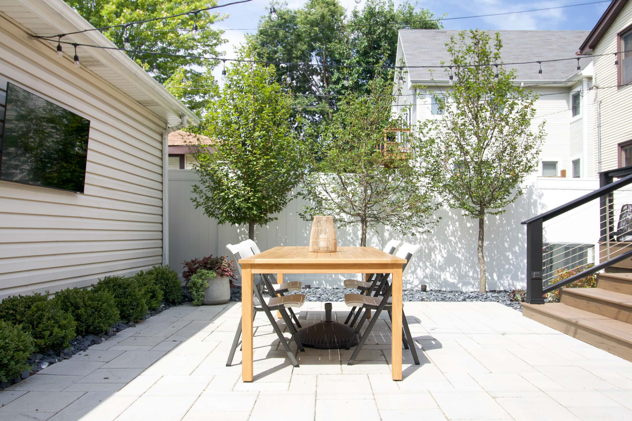 Adding three hornbeam trees to our backyard landscaping