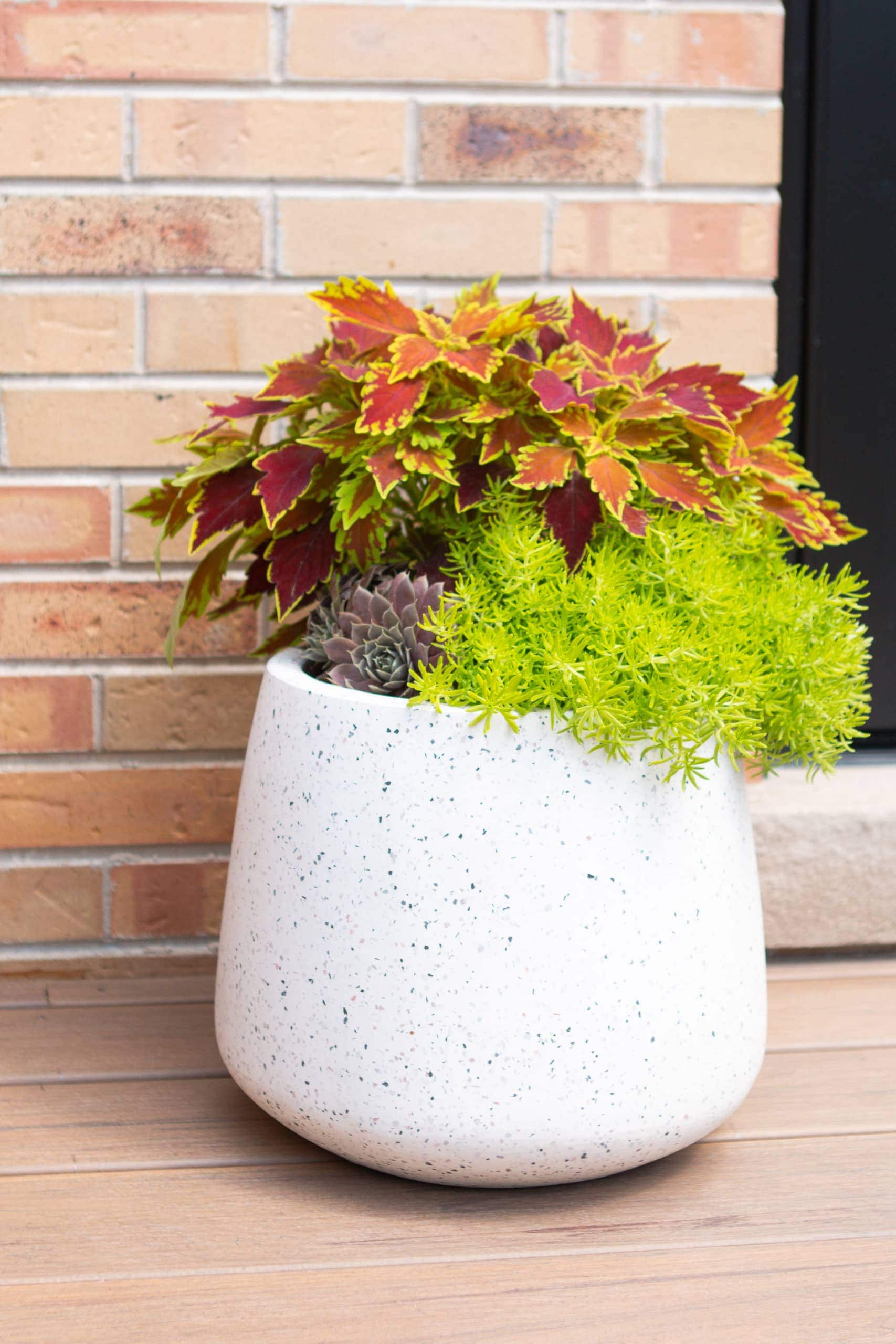 Adding planters with Fall plants to our backyard landscaping