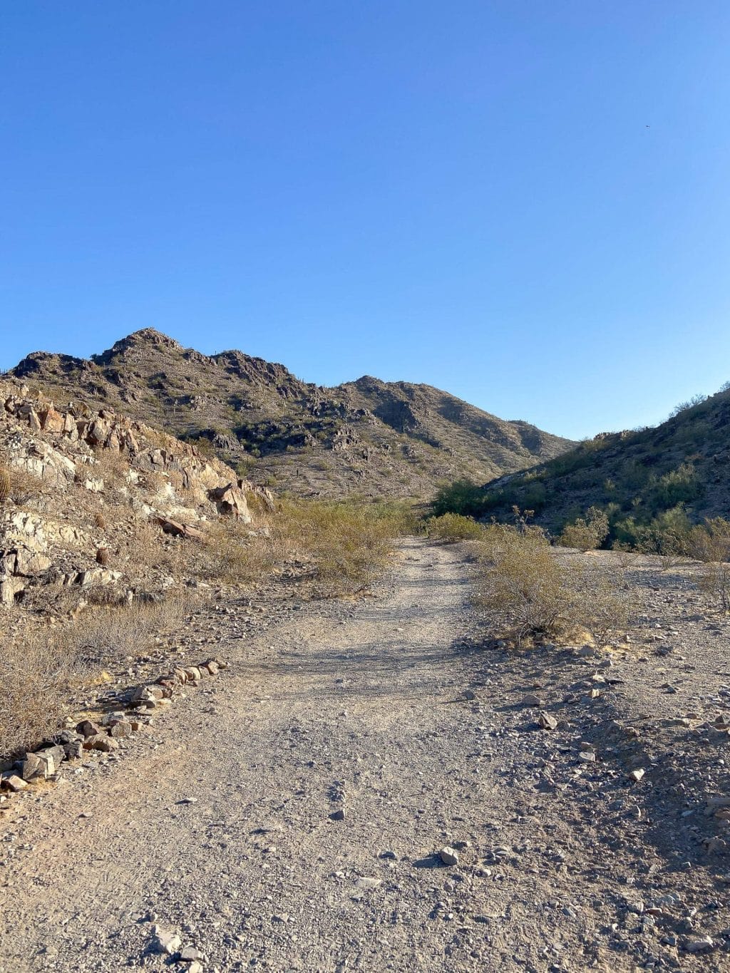 Hiking the Quartz Ridge Trail