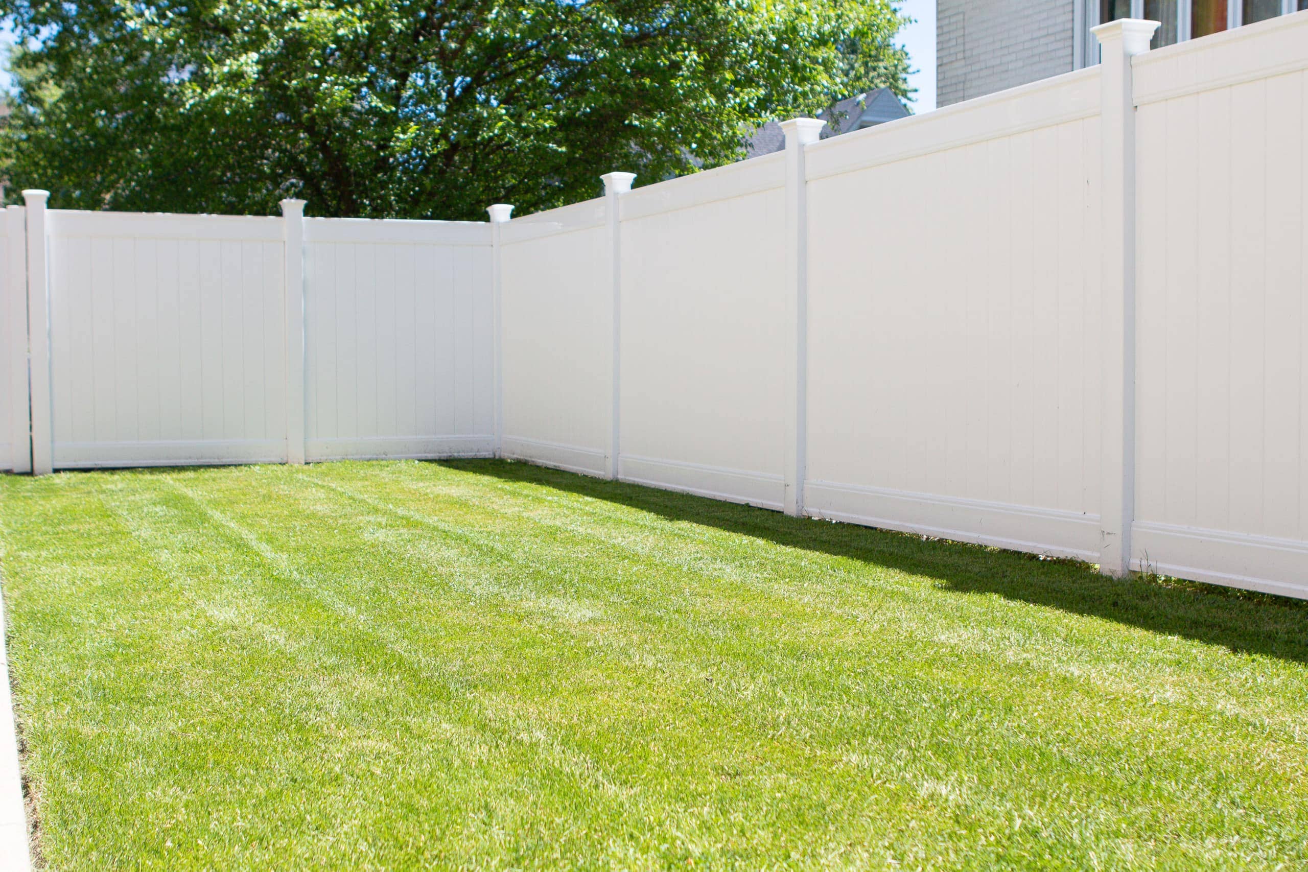 Our lawn and new white vinyl fence