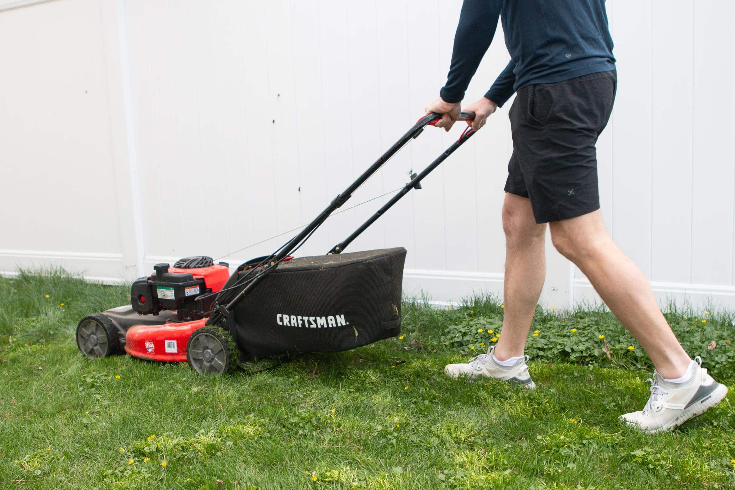 Finn mowing the lawn