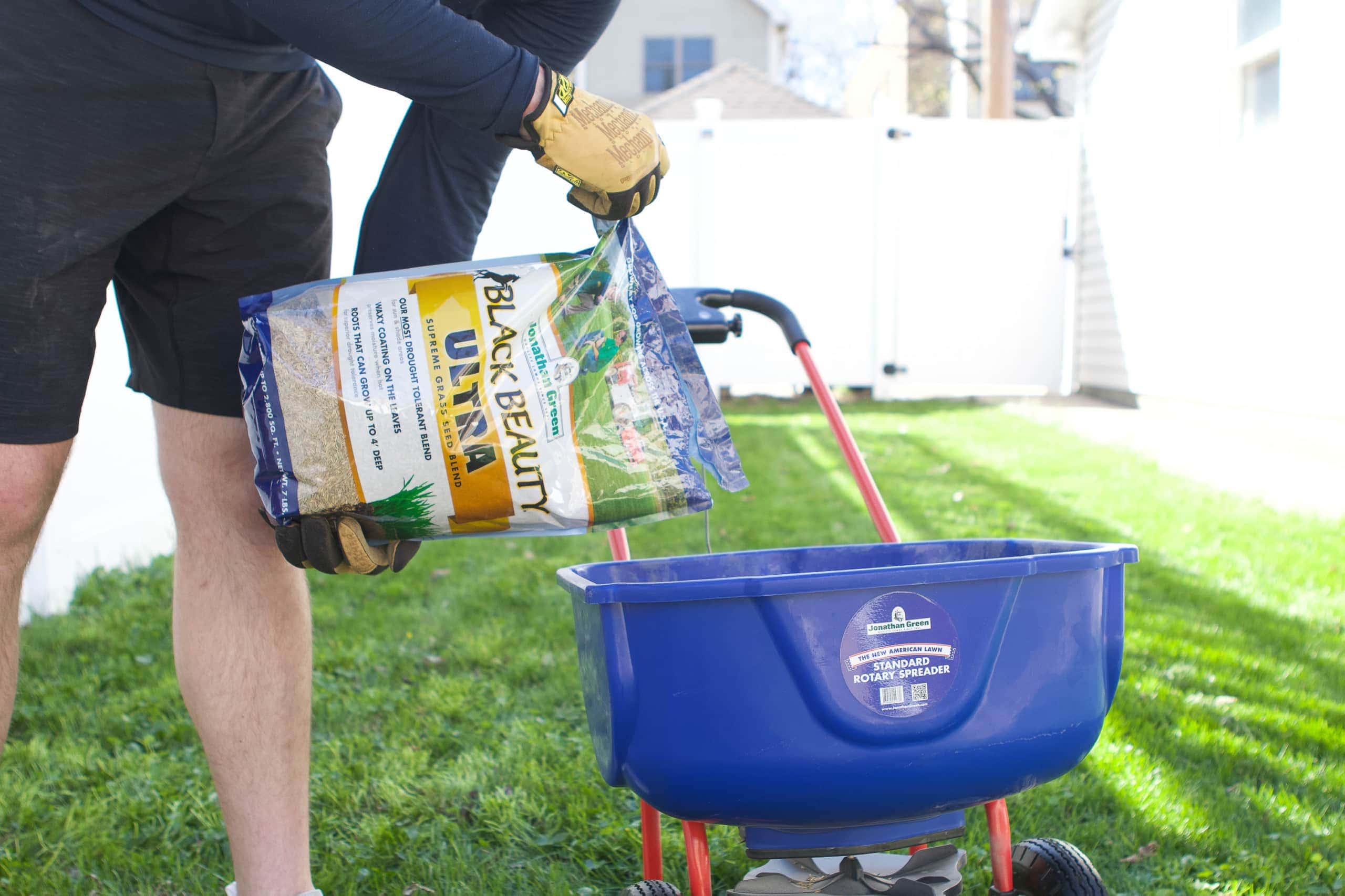 When you prep your lawn for spring, make sure you use grass seed