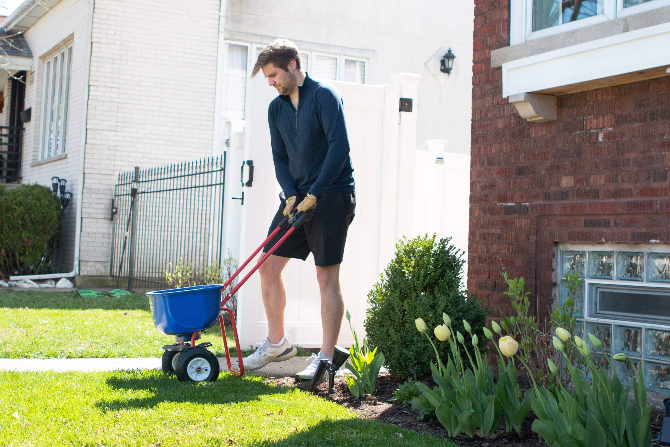 Finn using the spreader on the lawn