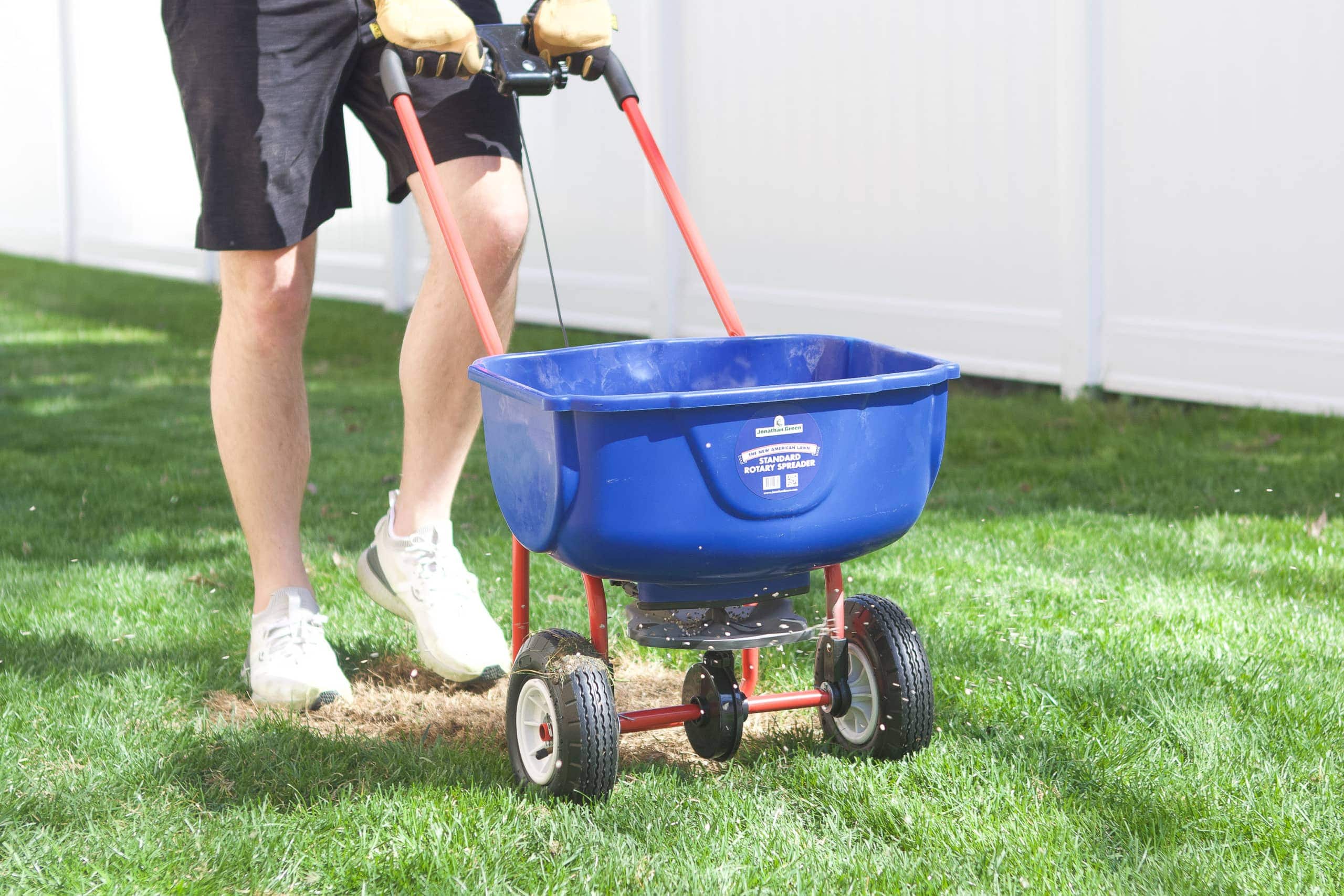 Using the spreader to apply grass seed