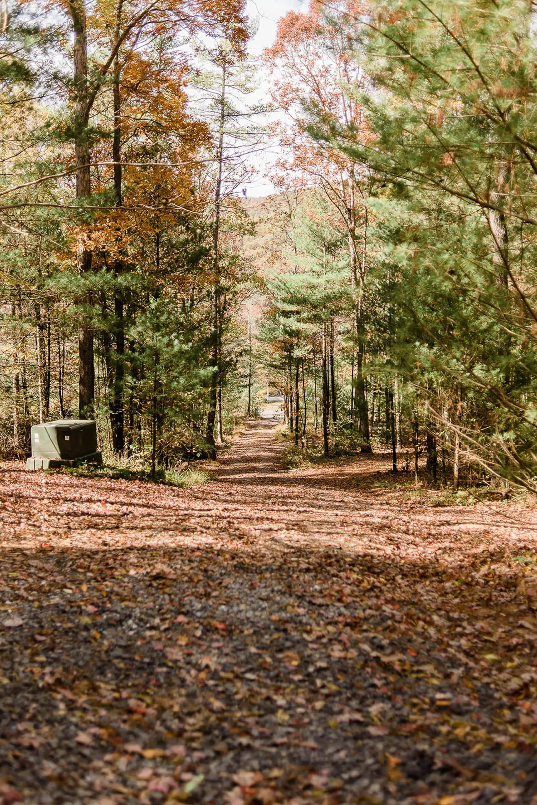 Hiking trails in West Virginia