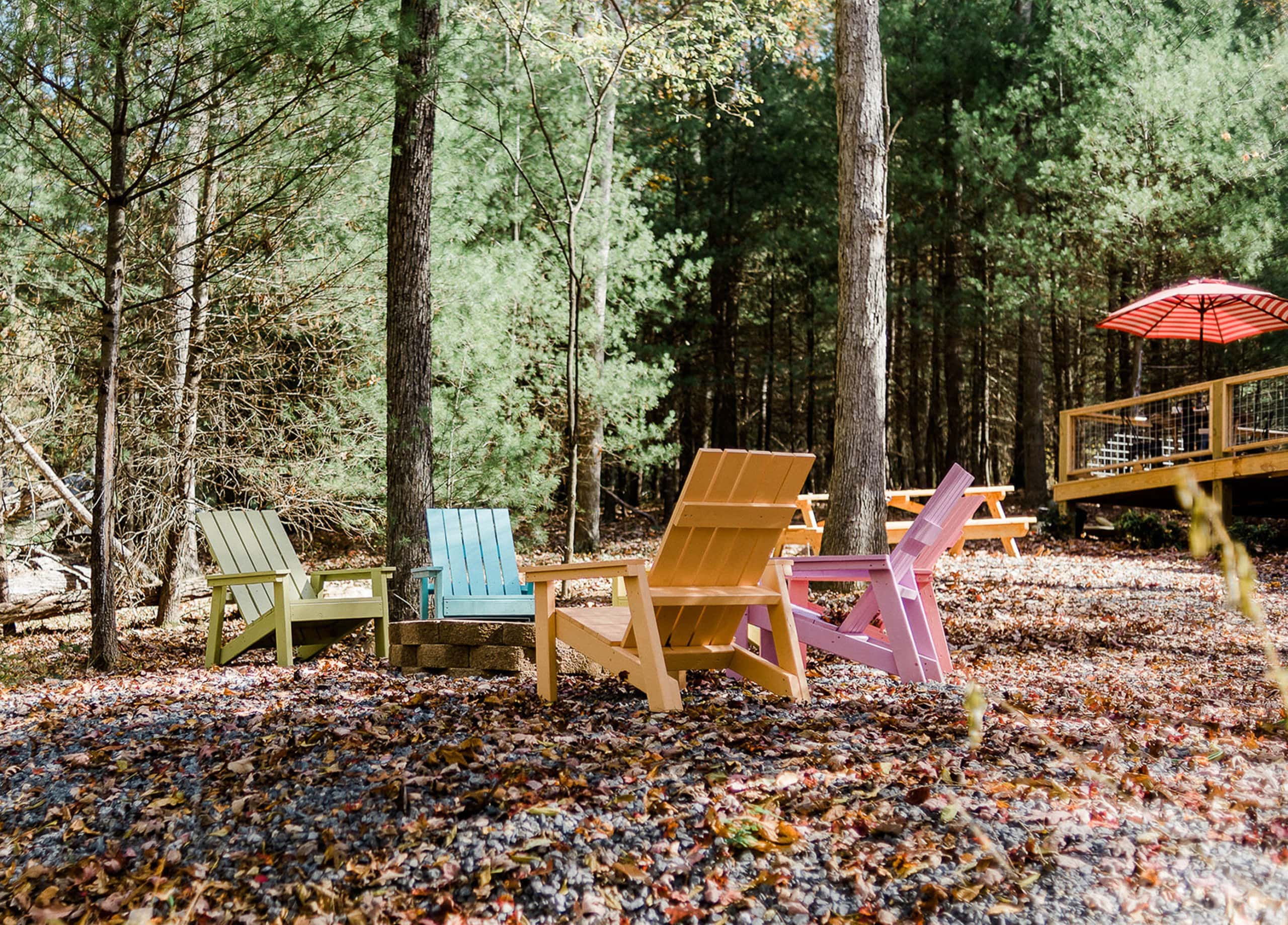 A cozy airbnb in the woods