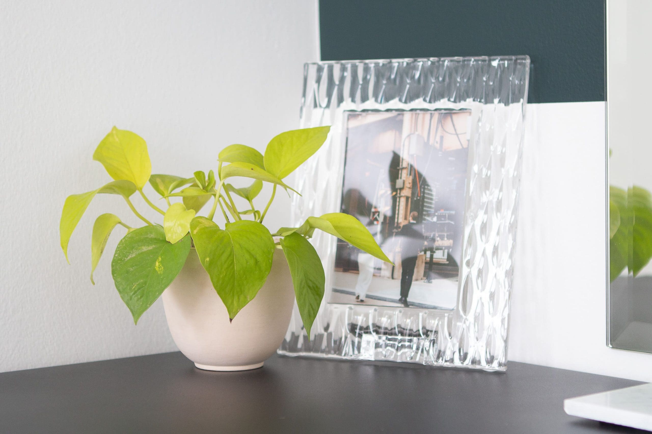 Adding plants to a vanity area