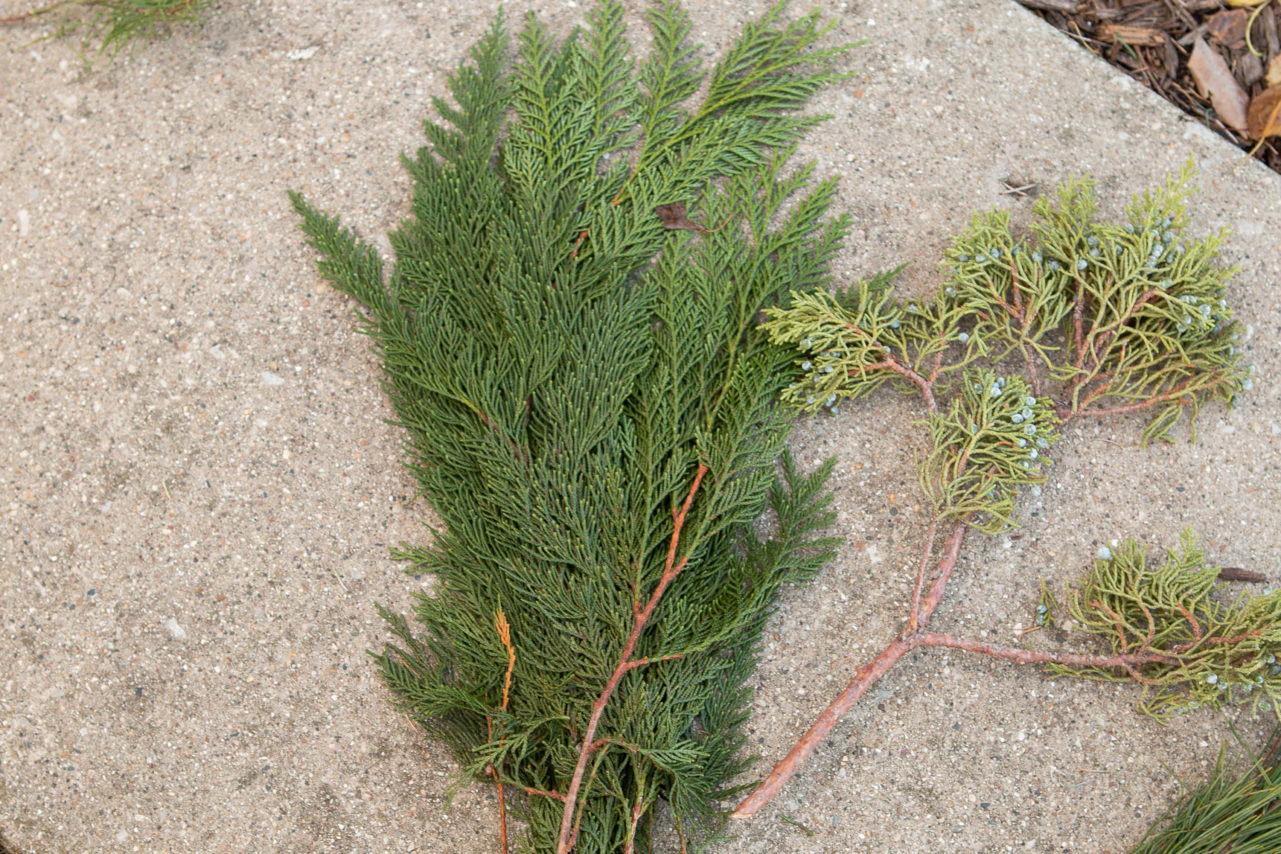 Use cedar to drape out of the box