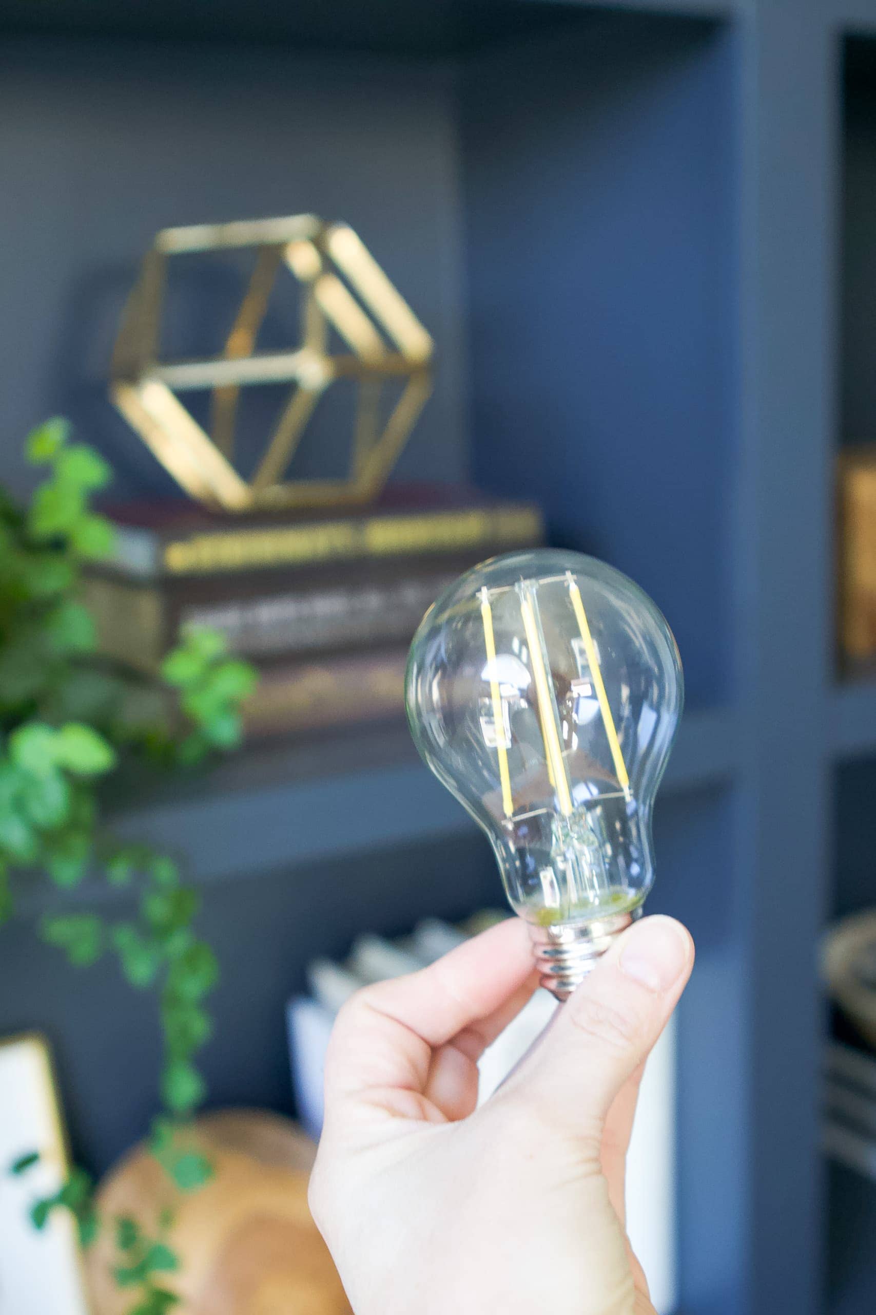 Choose an LED light bulb