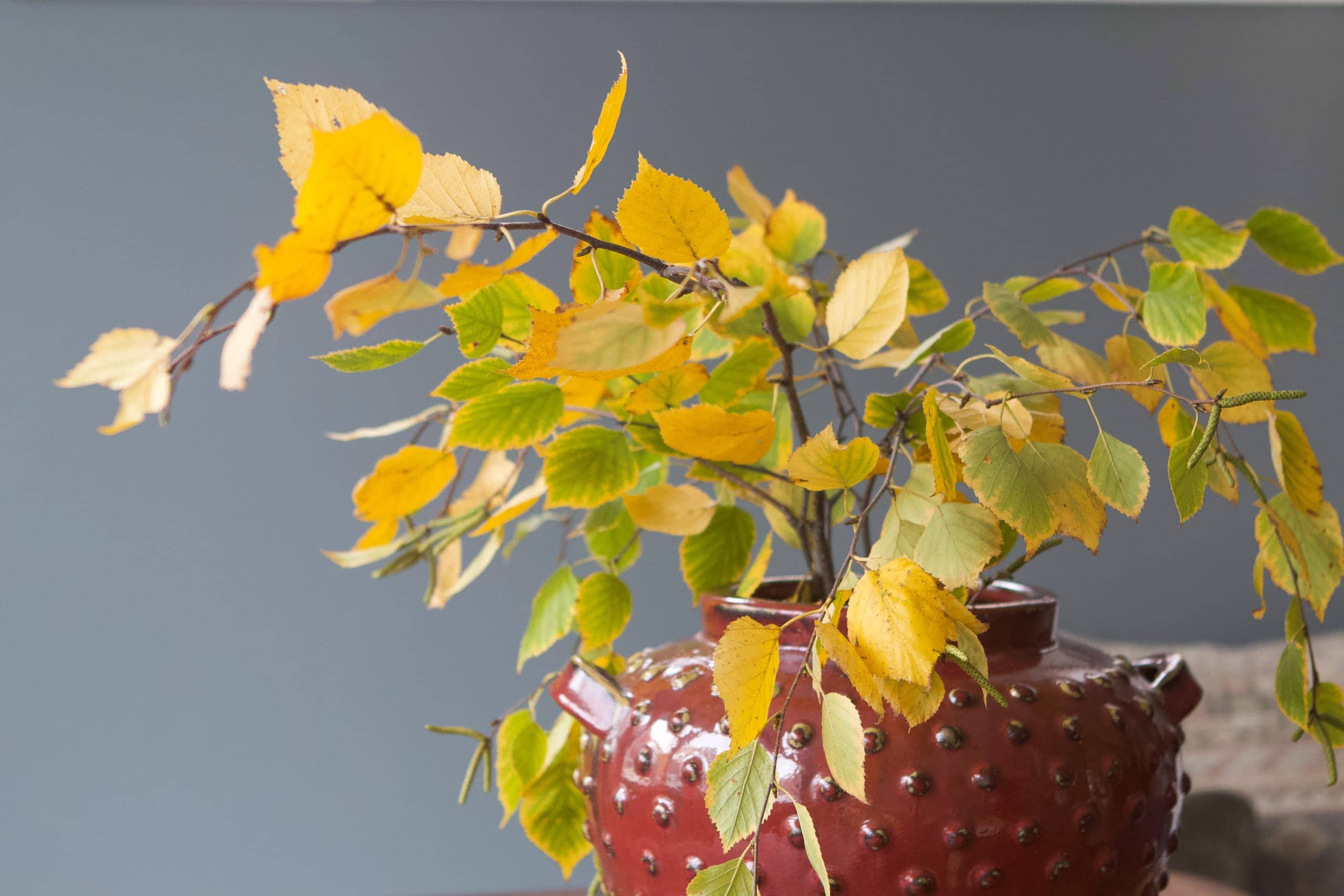 Fall leaves in a large vase