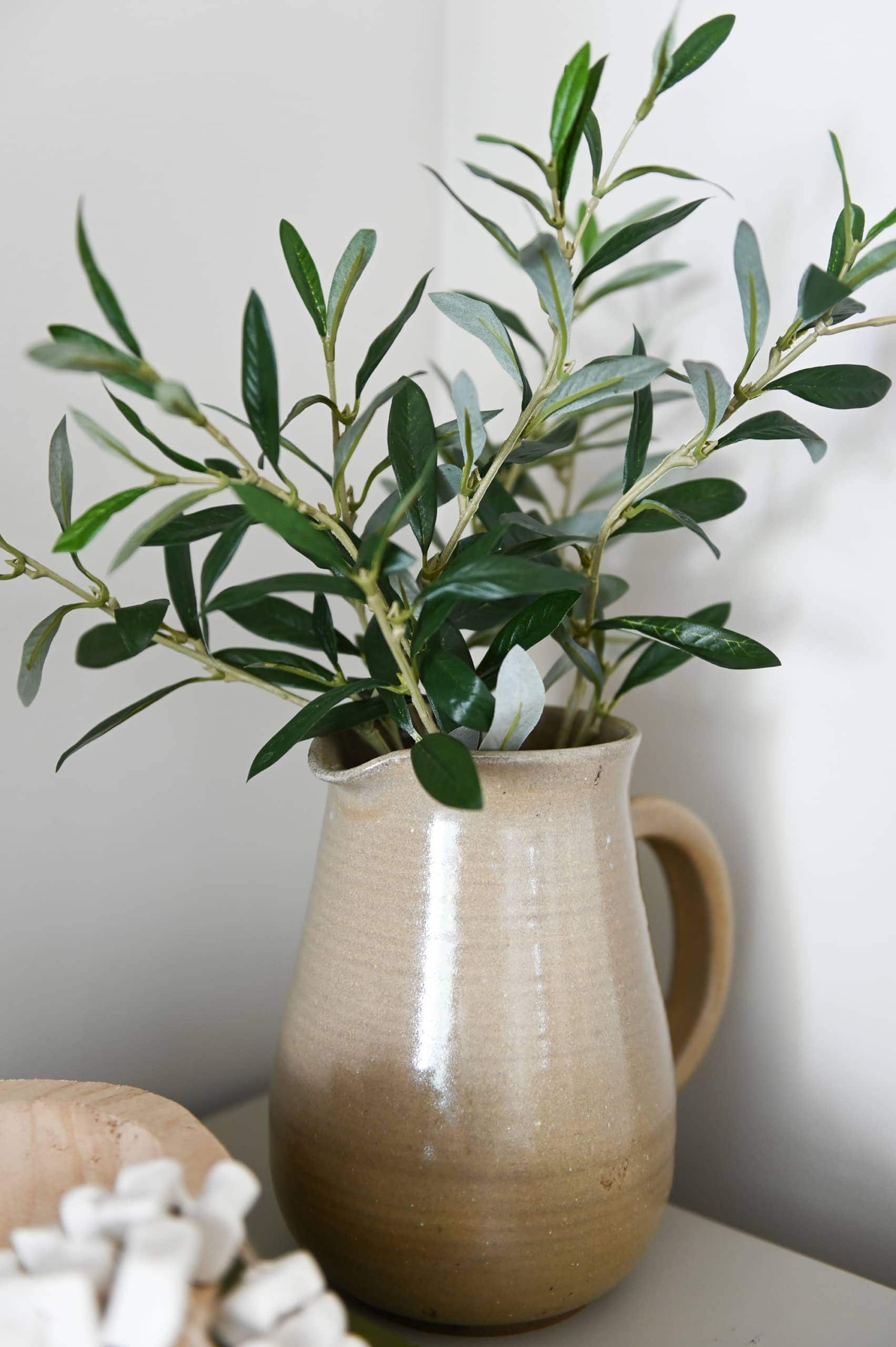 green plants in a vase