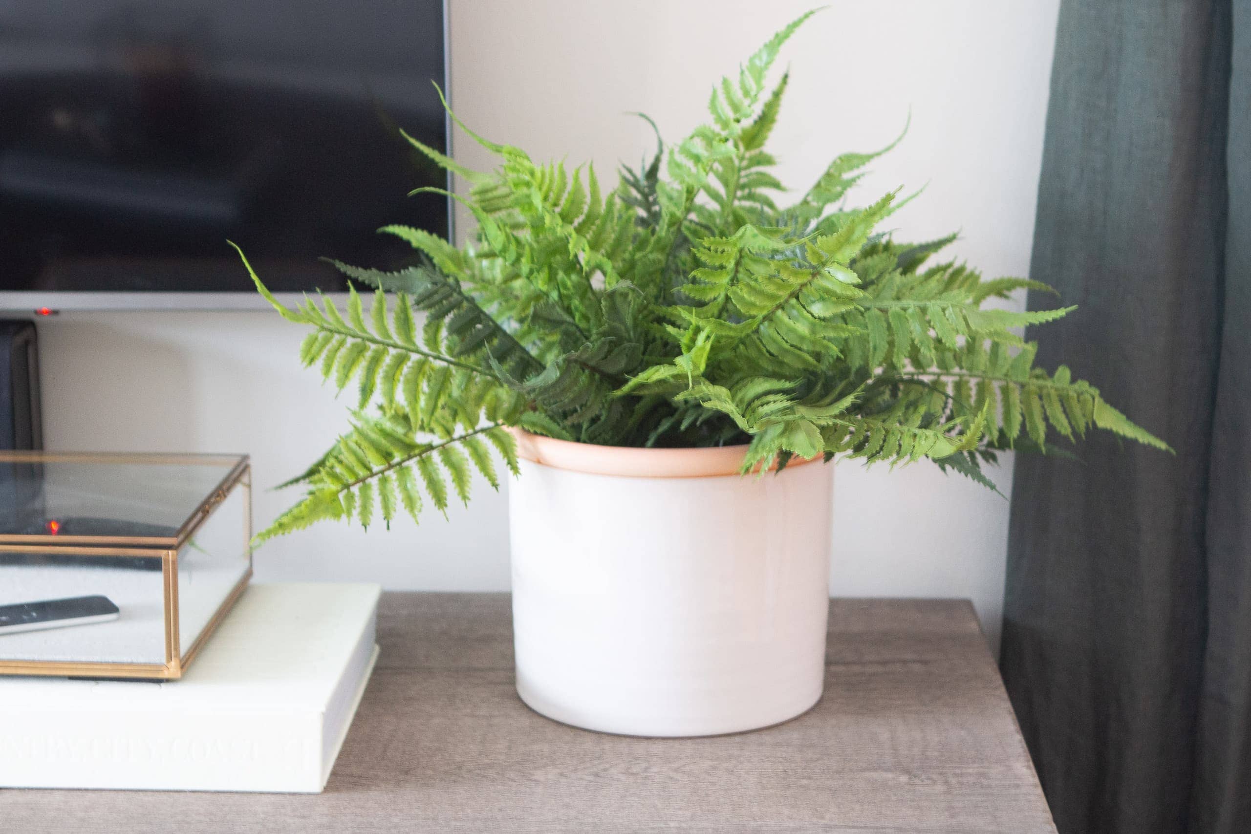 Faux fern 