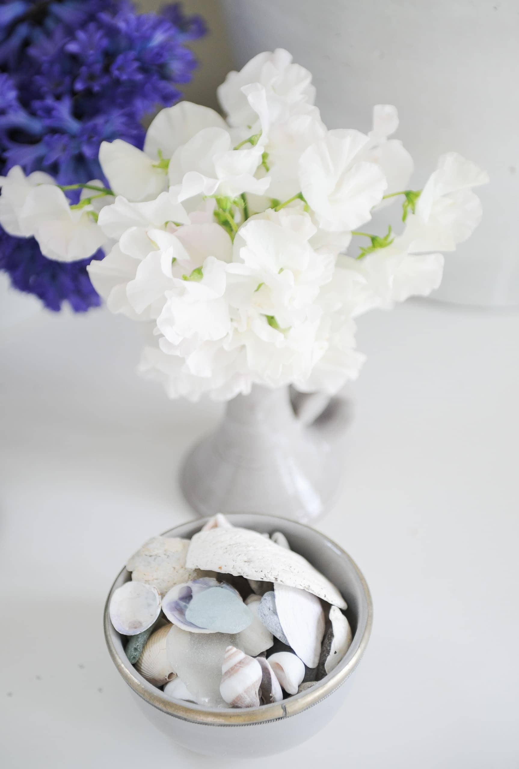 White flowers and seashells for coastal decor