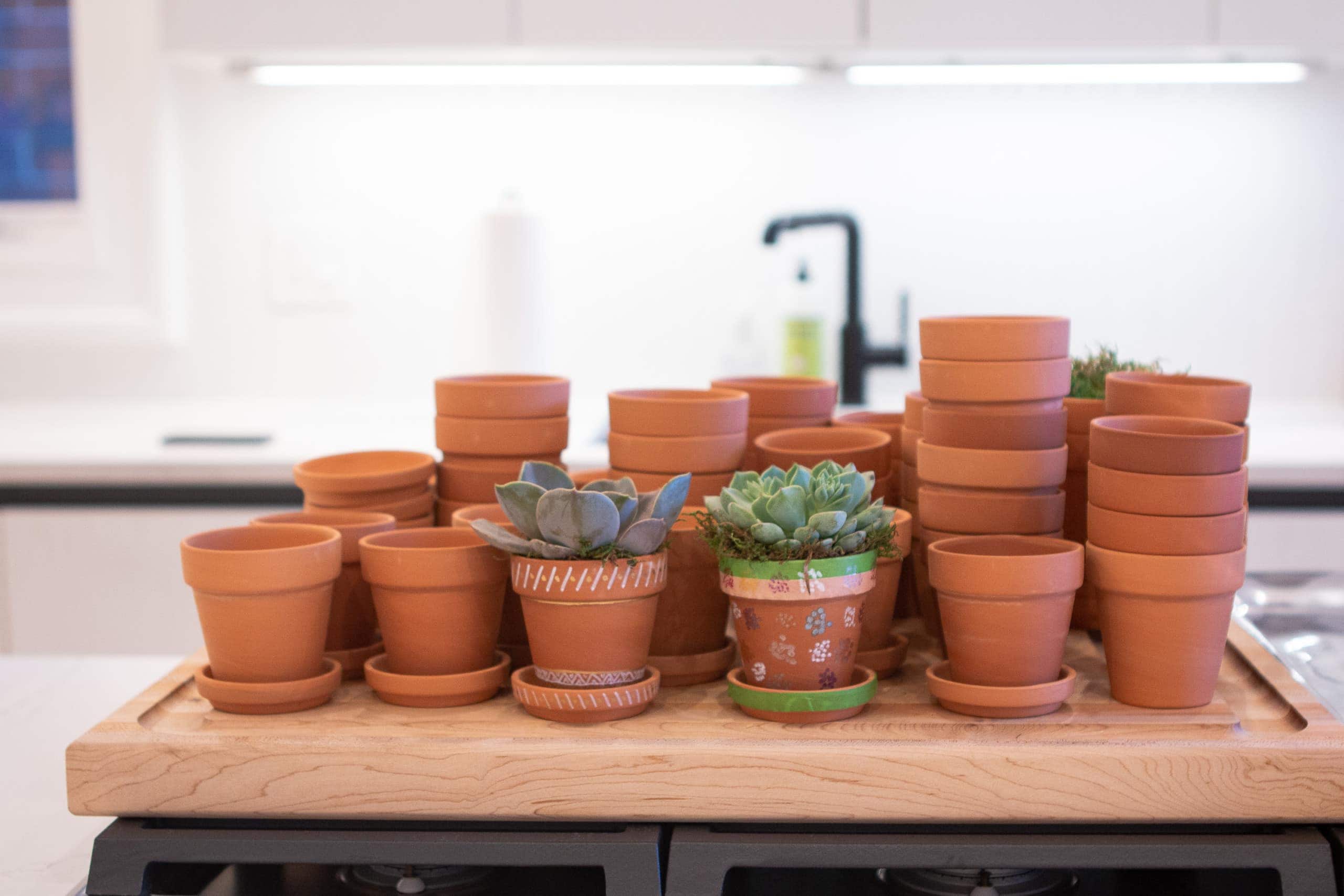 Terra cotta pots for succulents