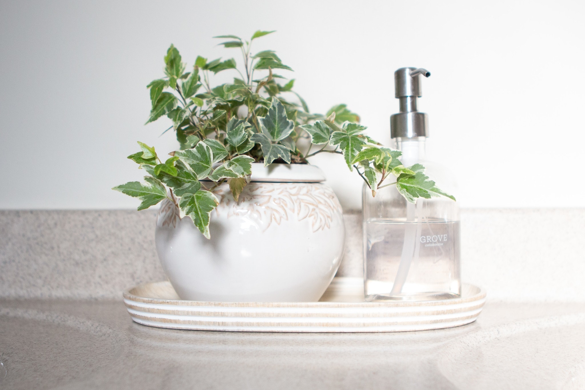 Plant and soap dispenser