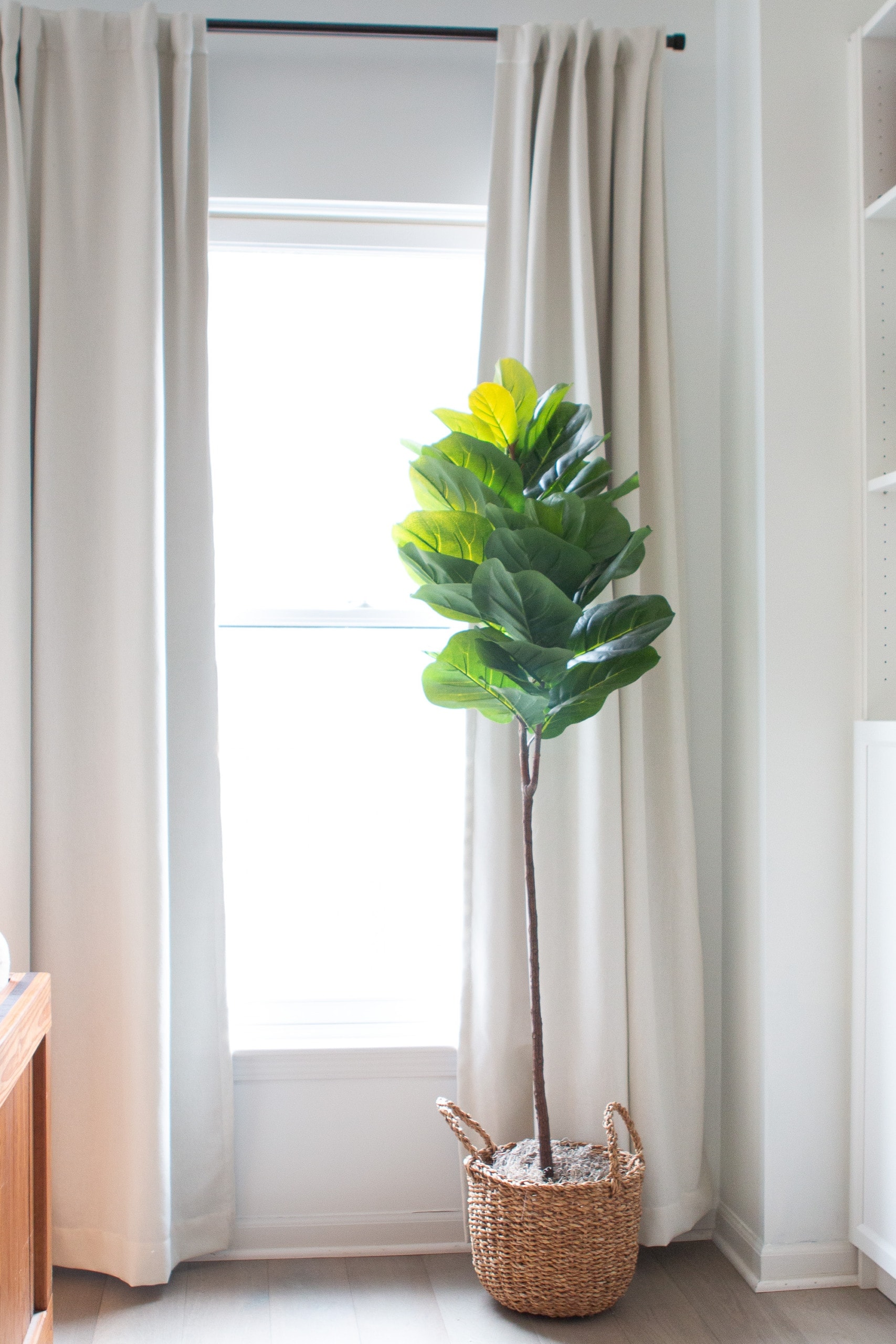 Faux fiddle leaf fig