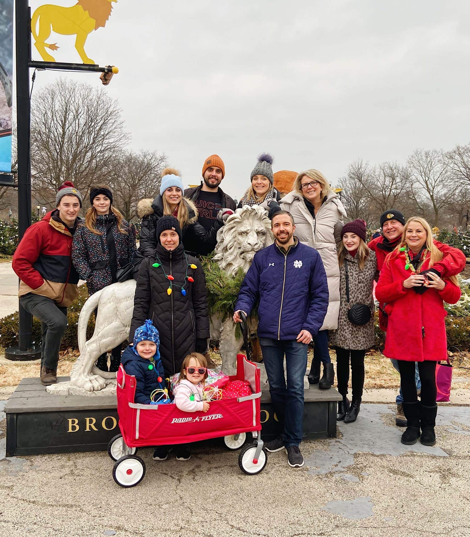 zoo lights 2019