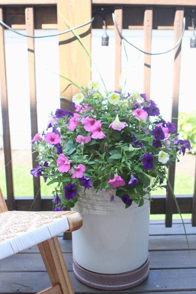 Planter with wave petunias