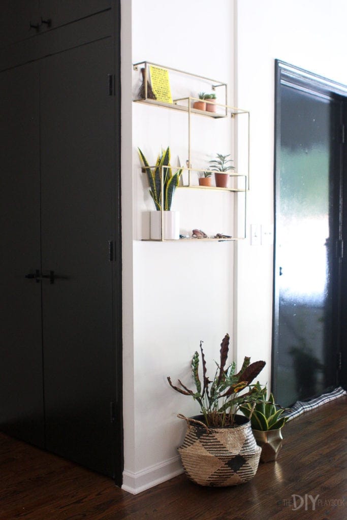 Shelf and plants in an entryway