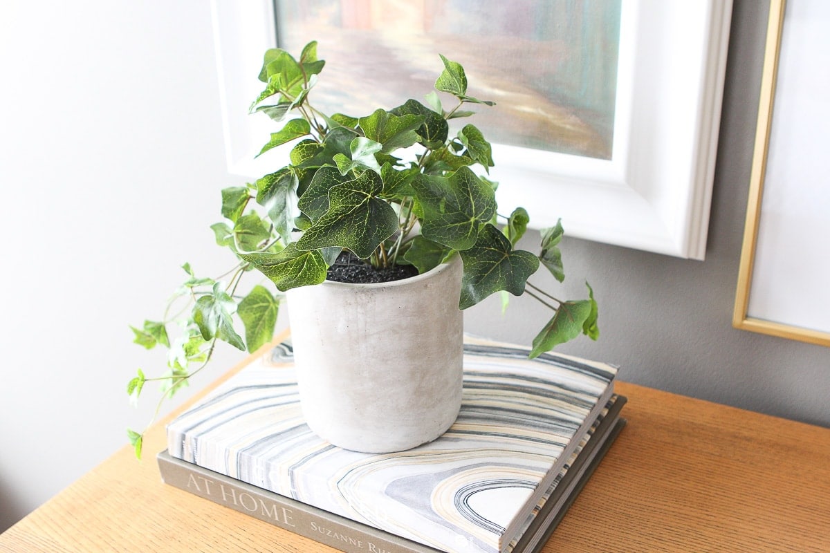 Faux plant on coffee table books