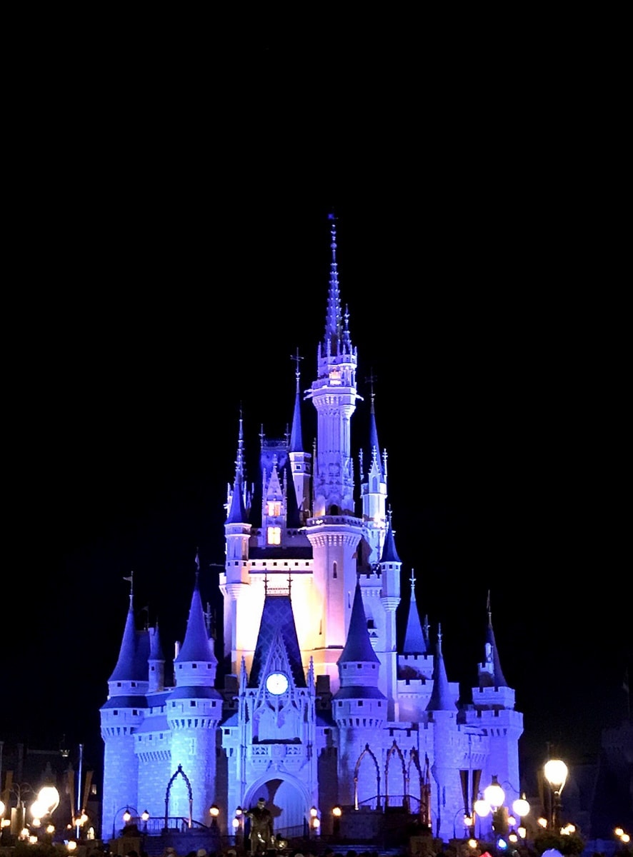 Disney's Magic Kingdom Tips for a Great Trip