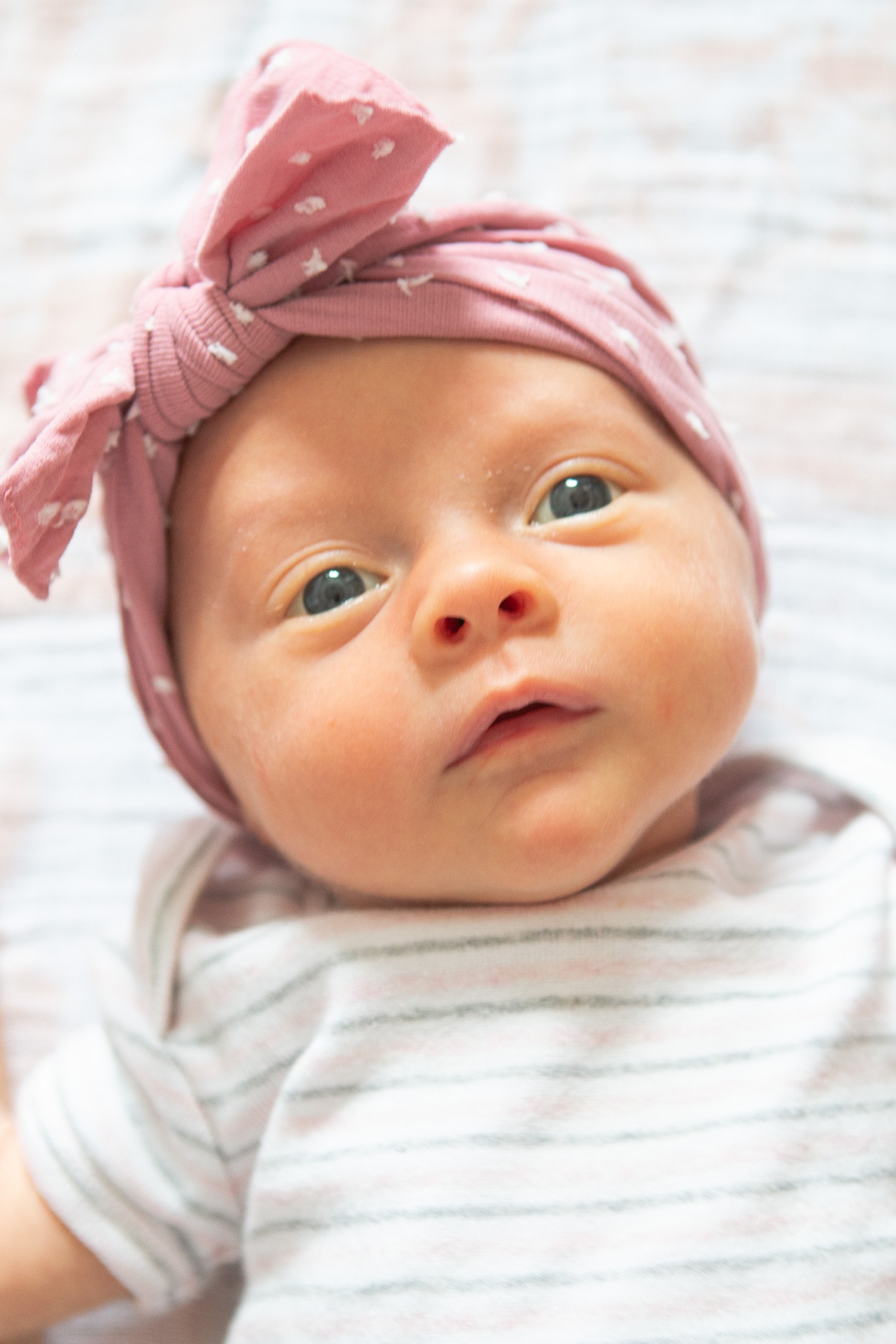 Our newborn survival guide