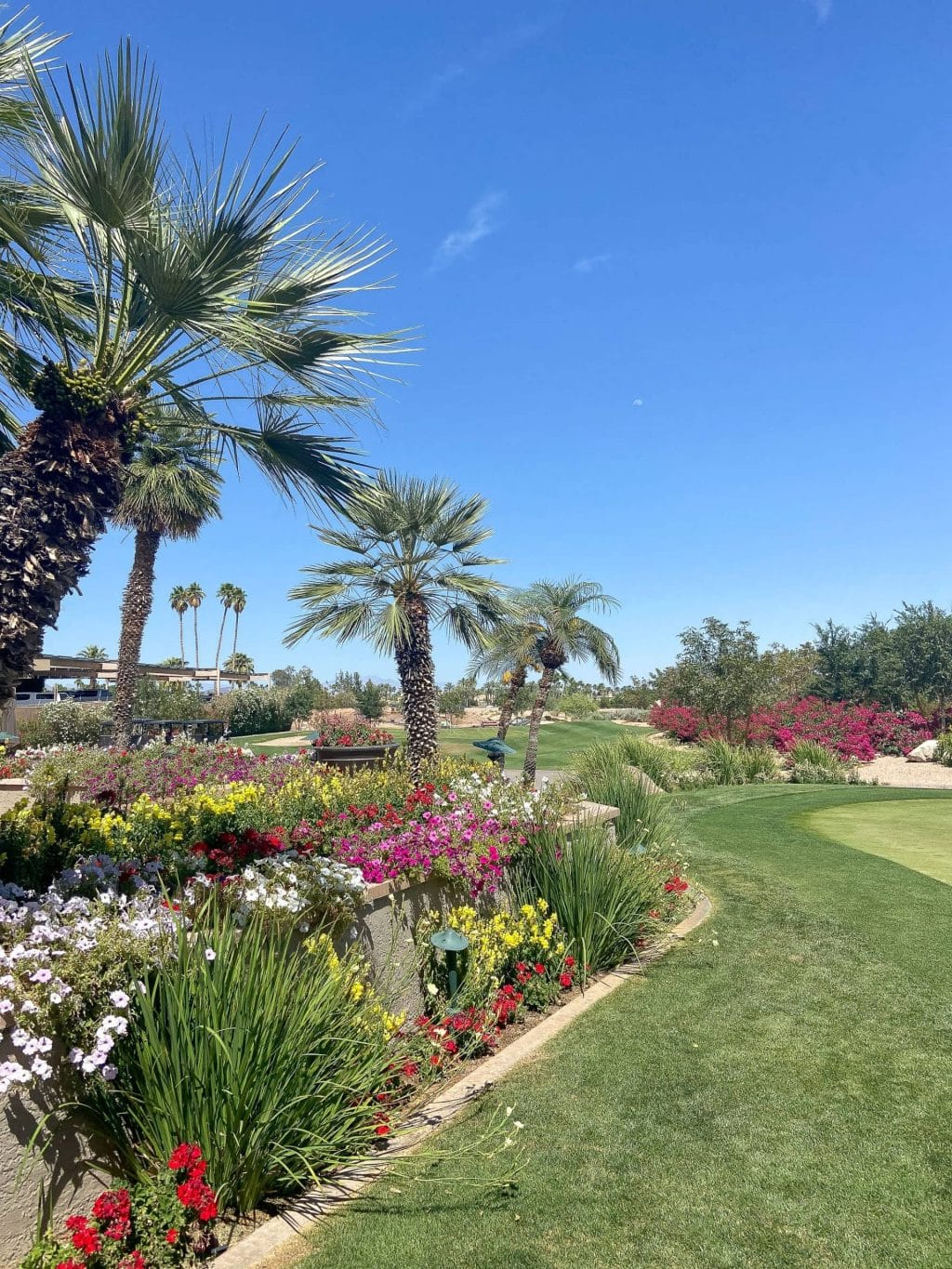 Scottsdale Babymoon at the Phoenician