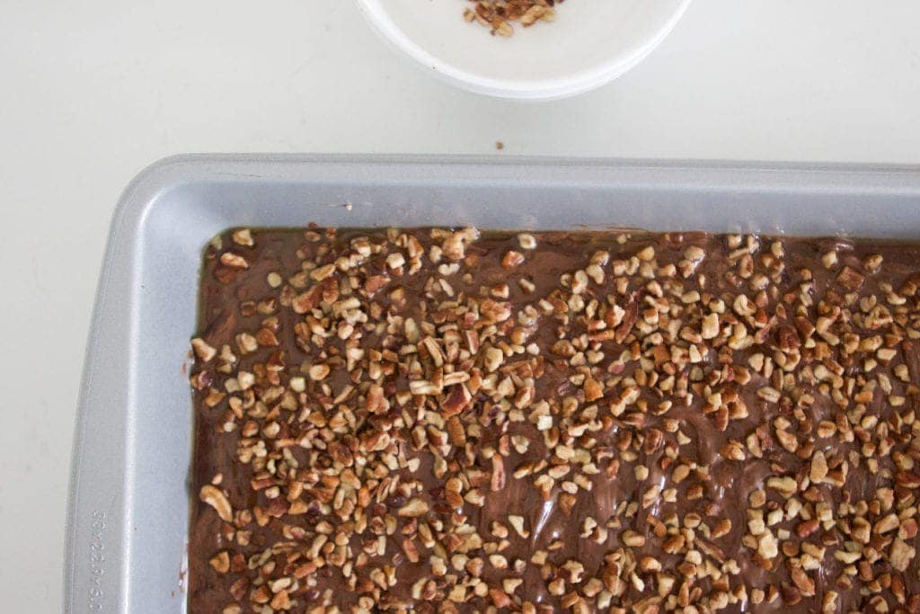 Chocolate Pecan Toffee Recipe with dusted pecans