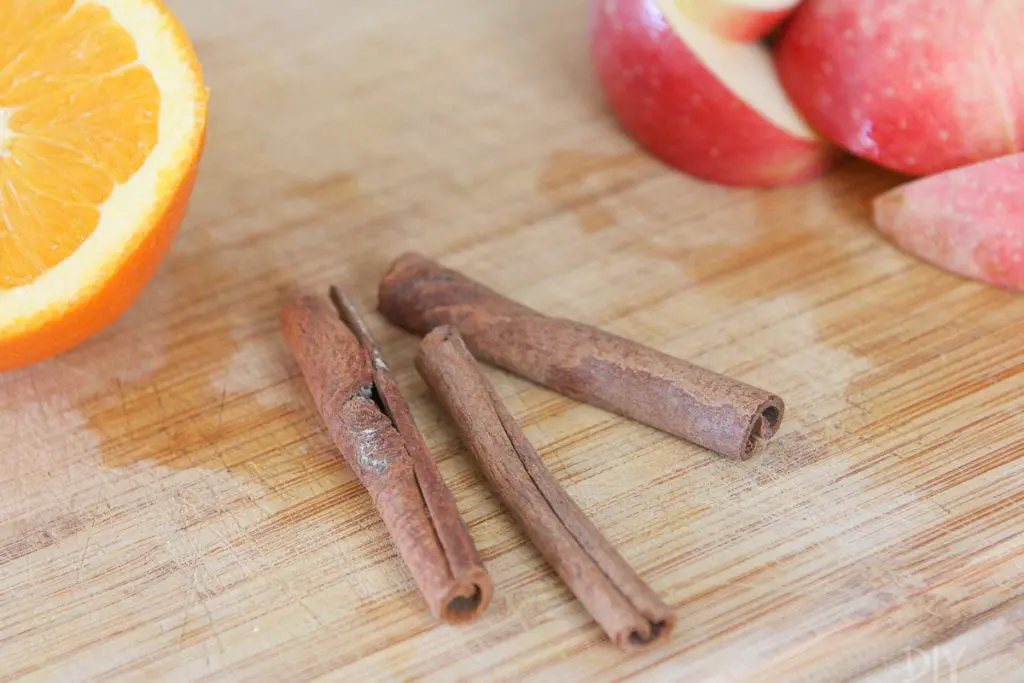 cinnamon sticks for a fall stovetop potpourri recipe