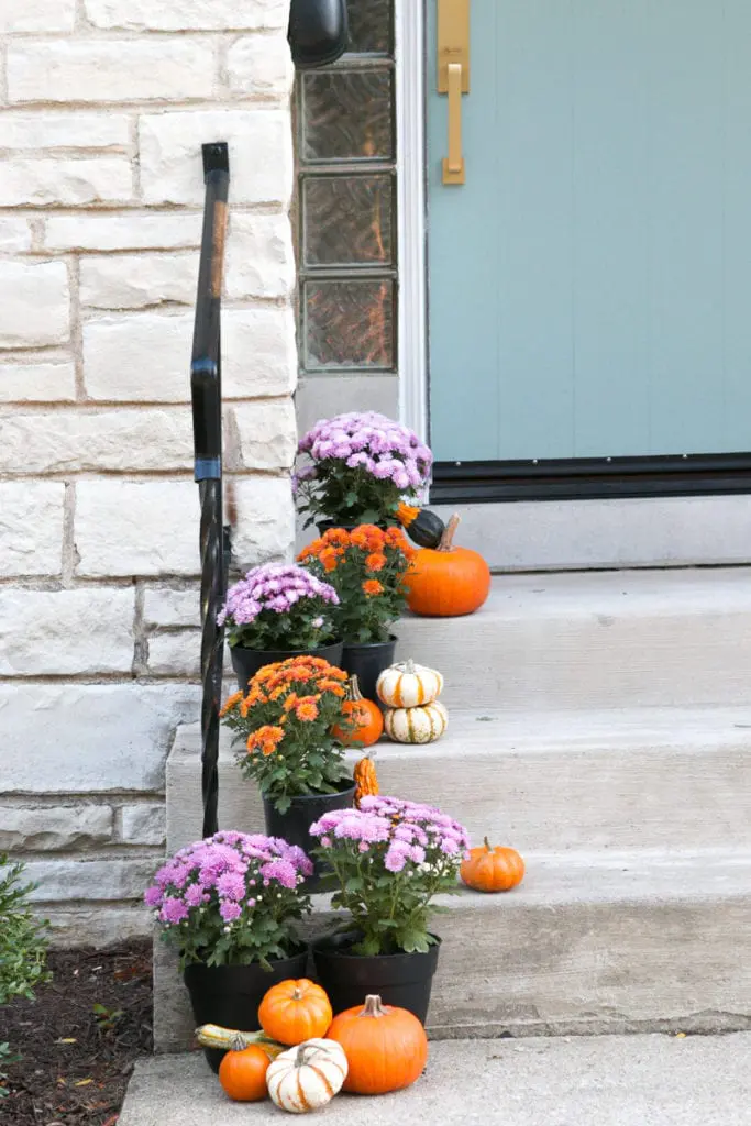 fall porch filled with colorful mums