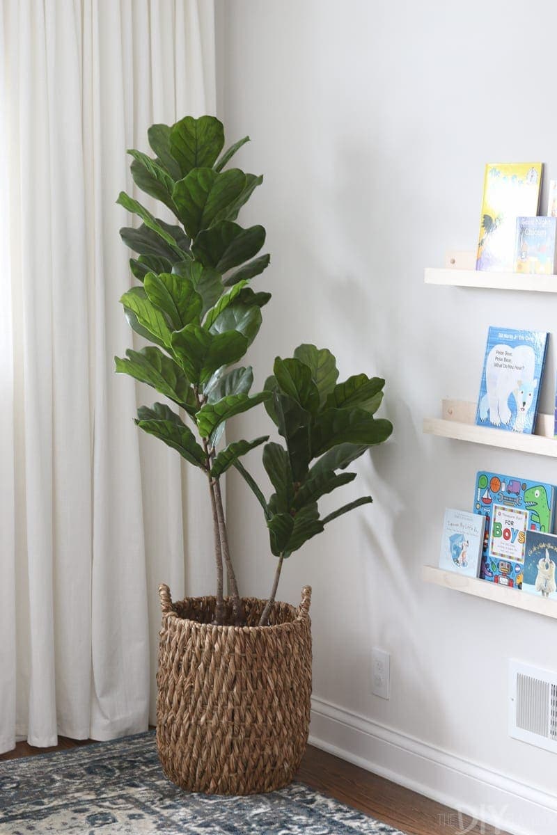 Add greenery to the nursery.