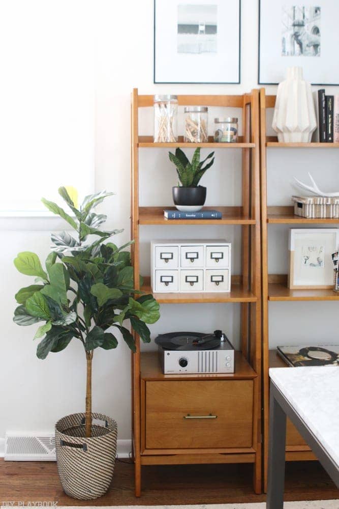 Fiddle_Leaf_shelves